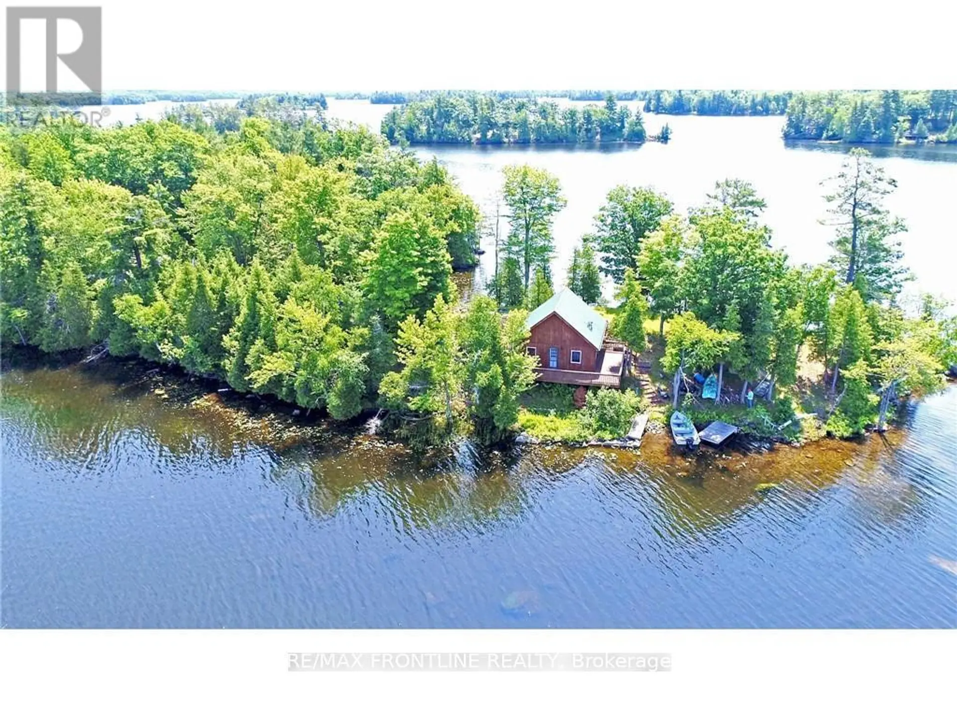 561 GRACEYS - Image 1