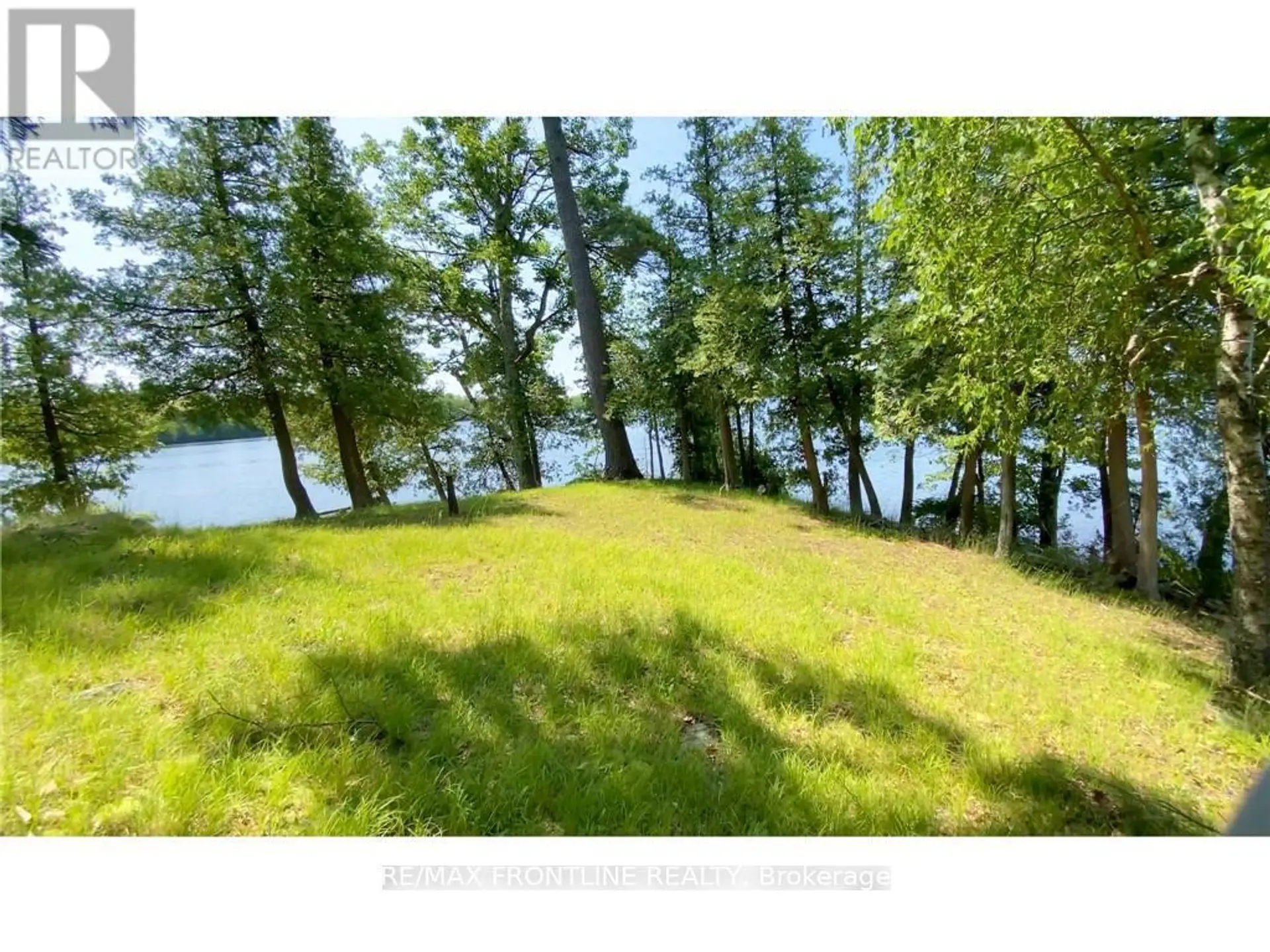 561 GRACEYS - Image 8