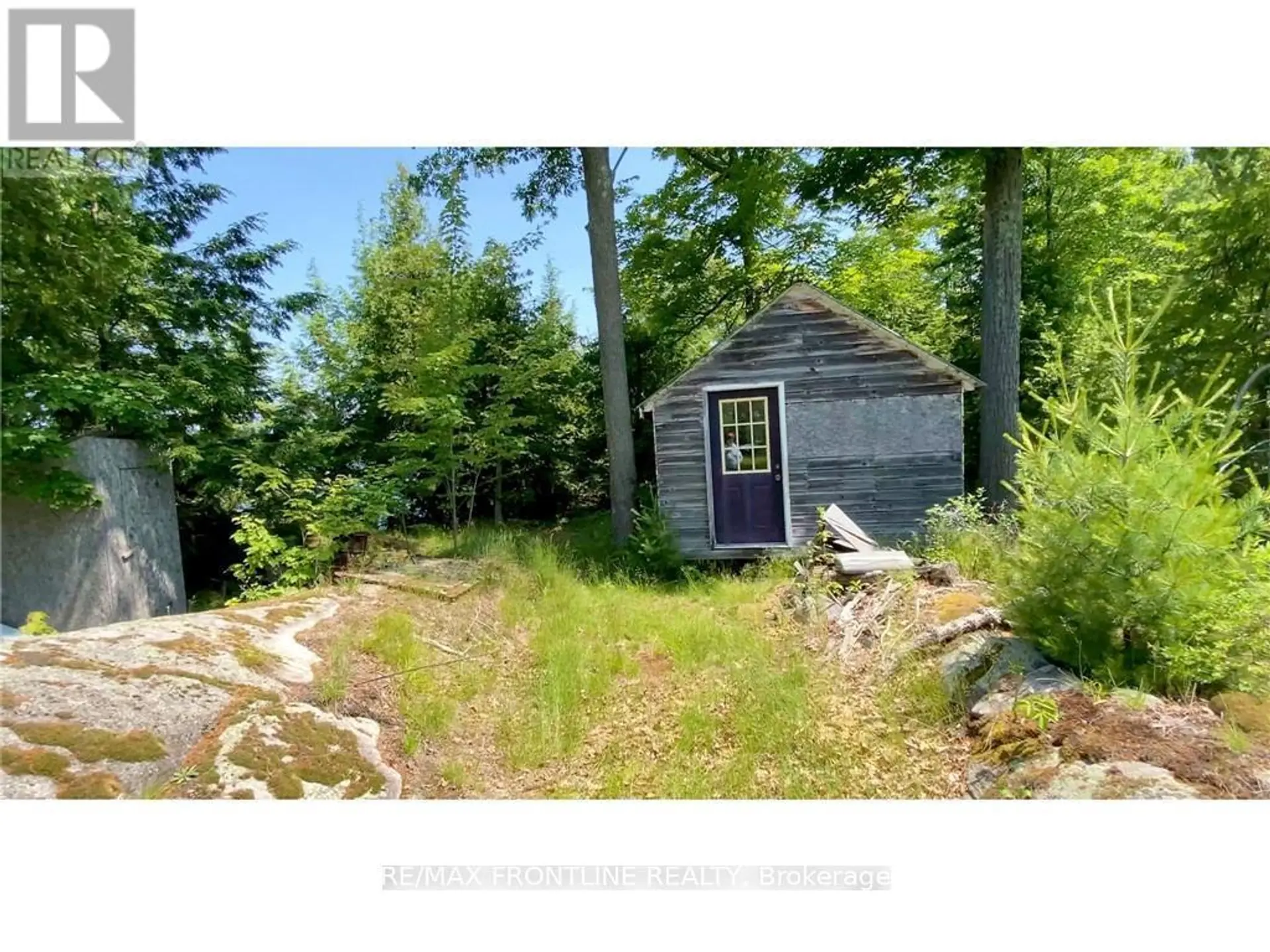 561 GRACEYS - Image 9