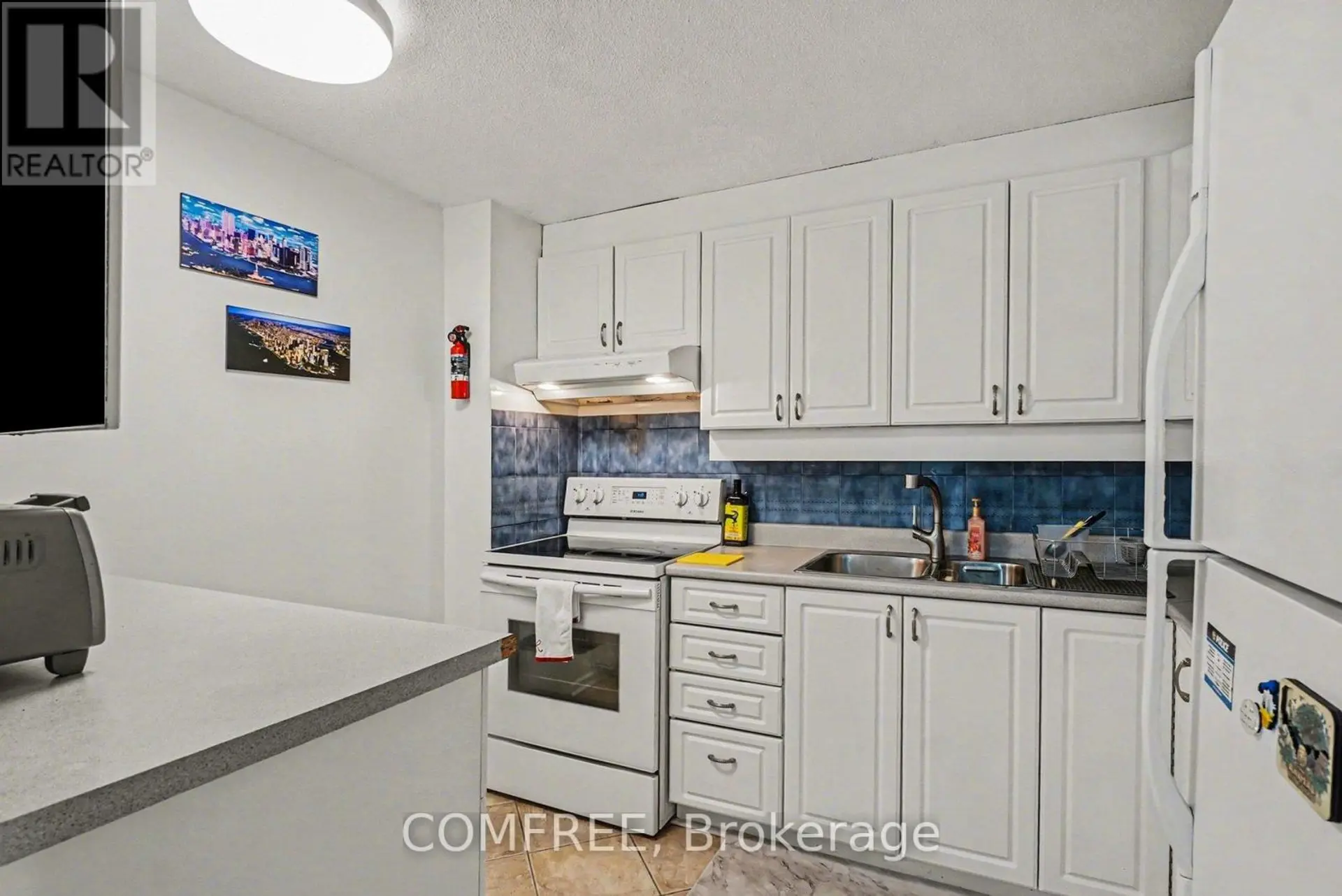 #817 915 ELMSMERE ROAD - Image 8