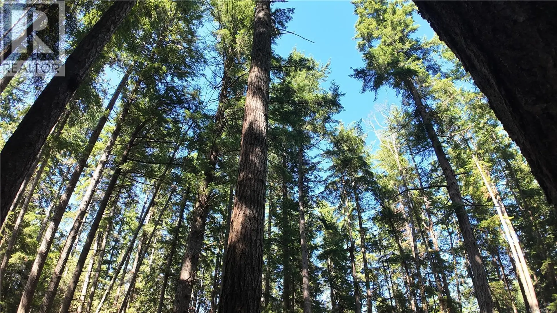 Property at 4480 Strachan Rd, Hornby Island, BC