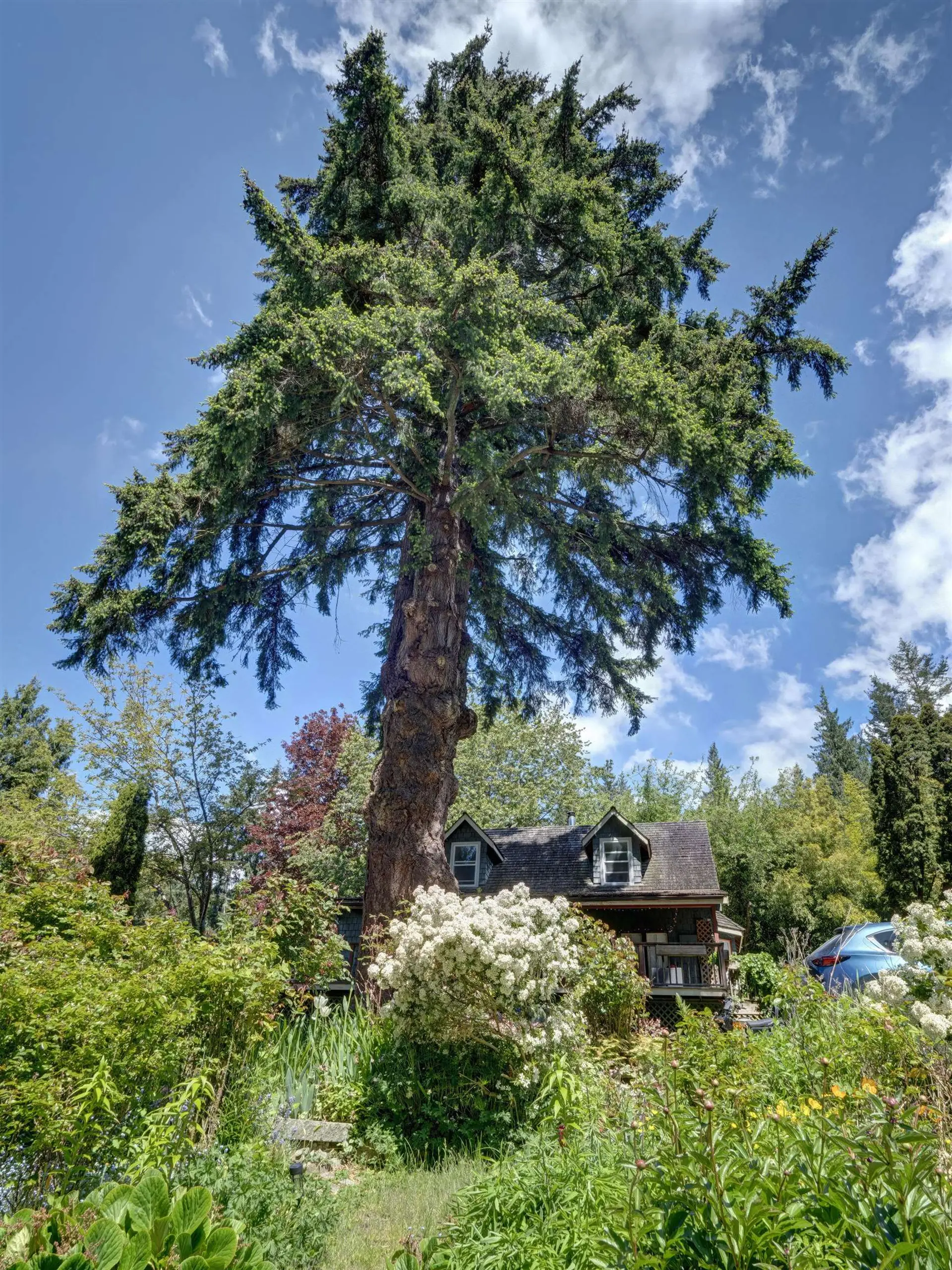 Property at 2602 Lower Road, Roberts Creek, BC