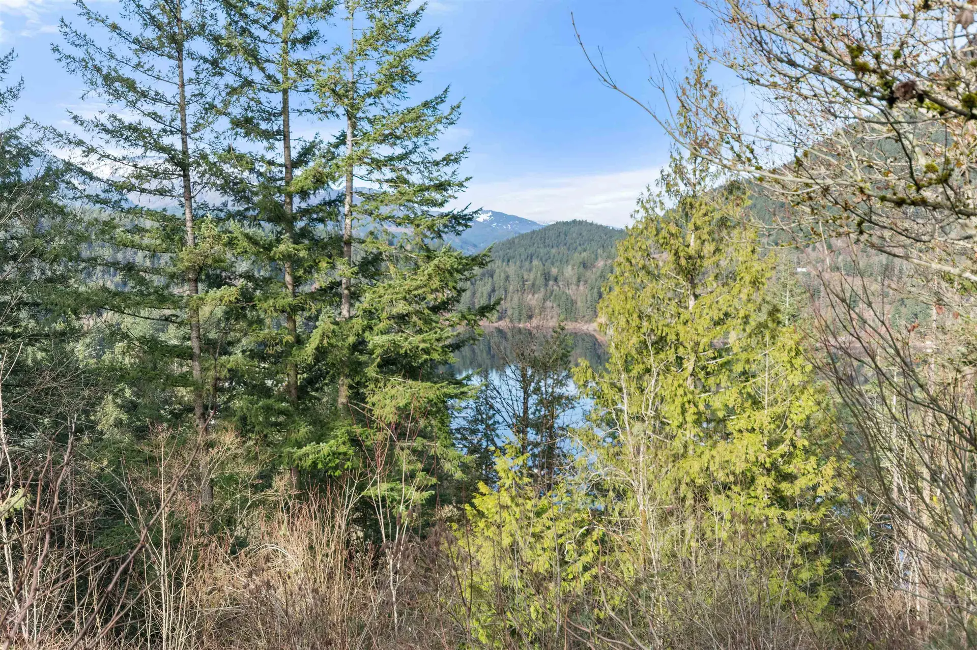 Property at 66176 Kawkawa Lake Road, Hope, BC