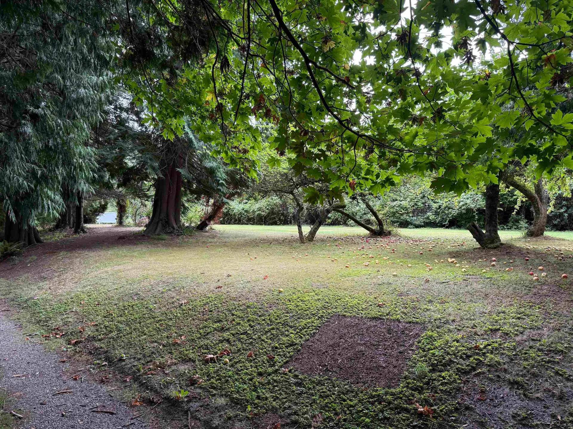 16203 8 Avenue - Image 7