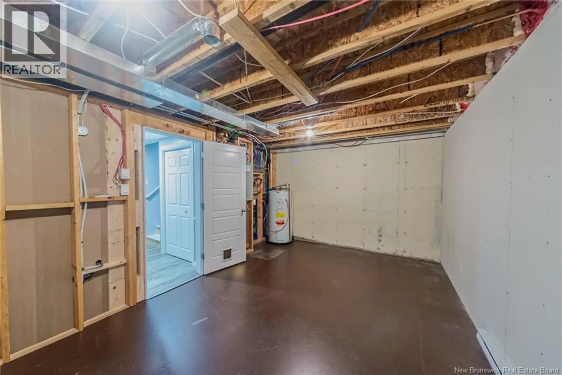 159 DAMIEN - Image 14