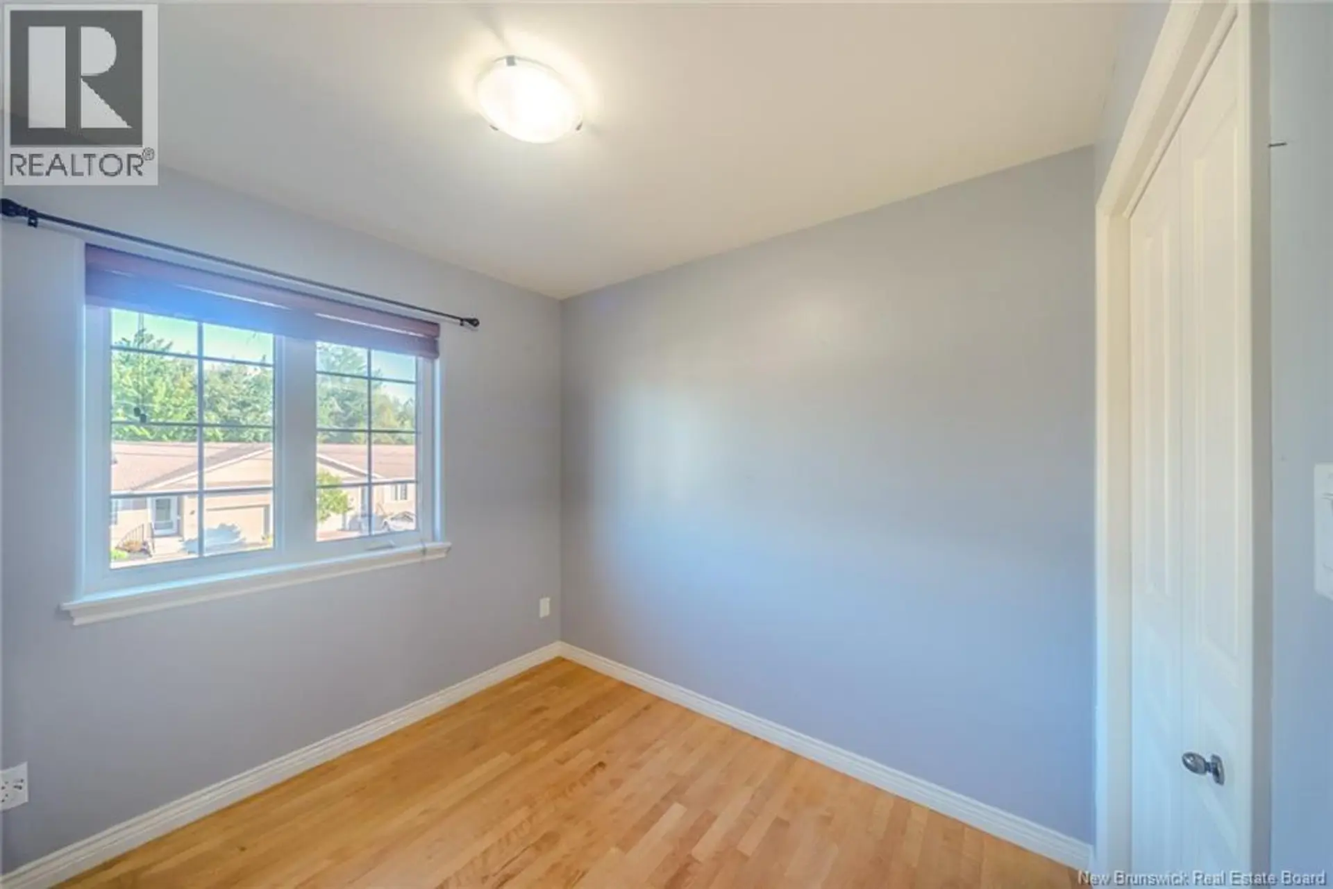 159 DAMIEN - Image 11