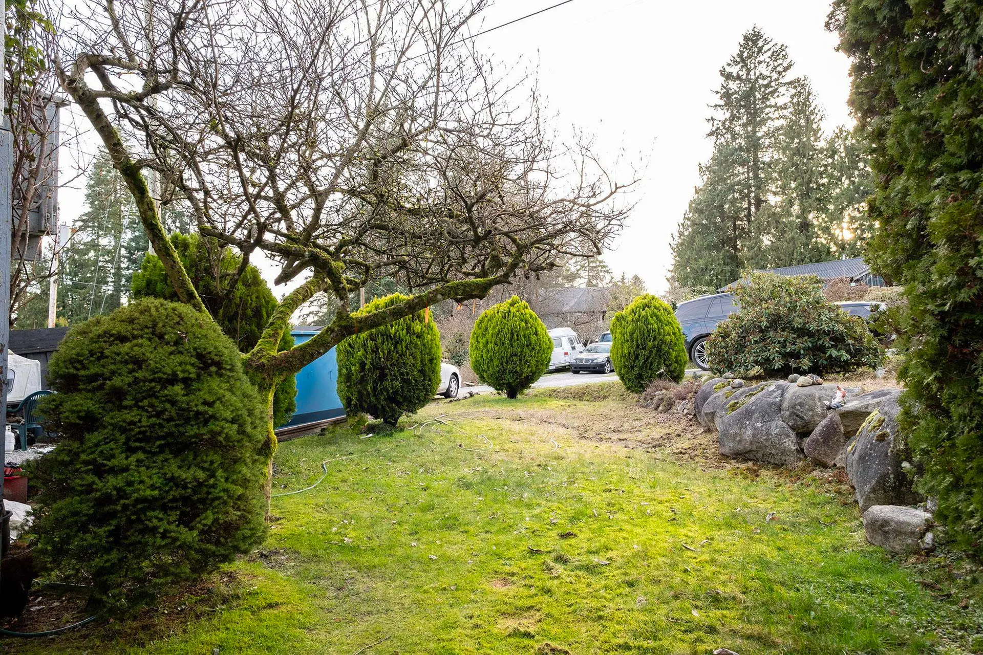 1214 Carole Place - Image 12
