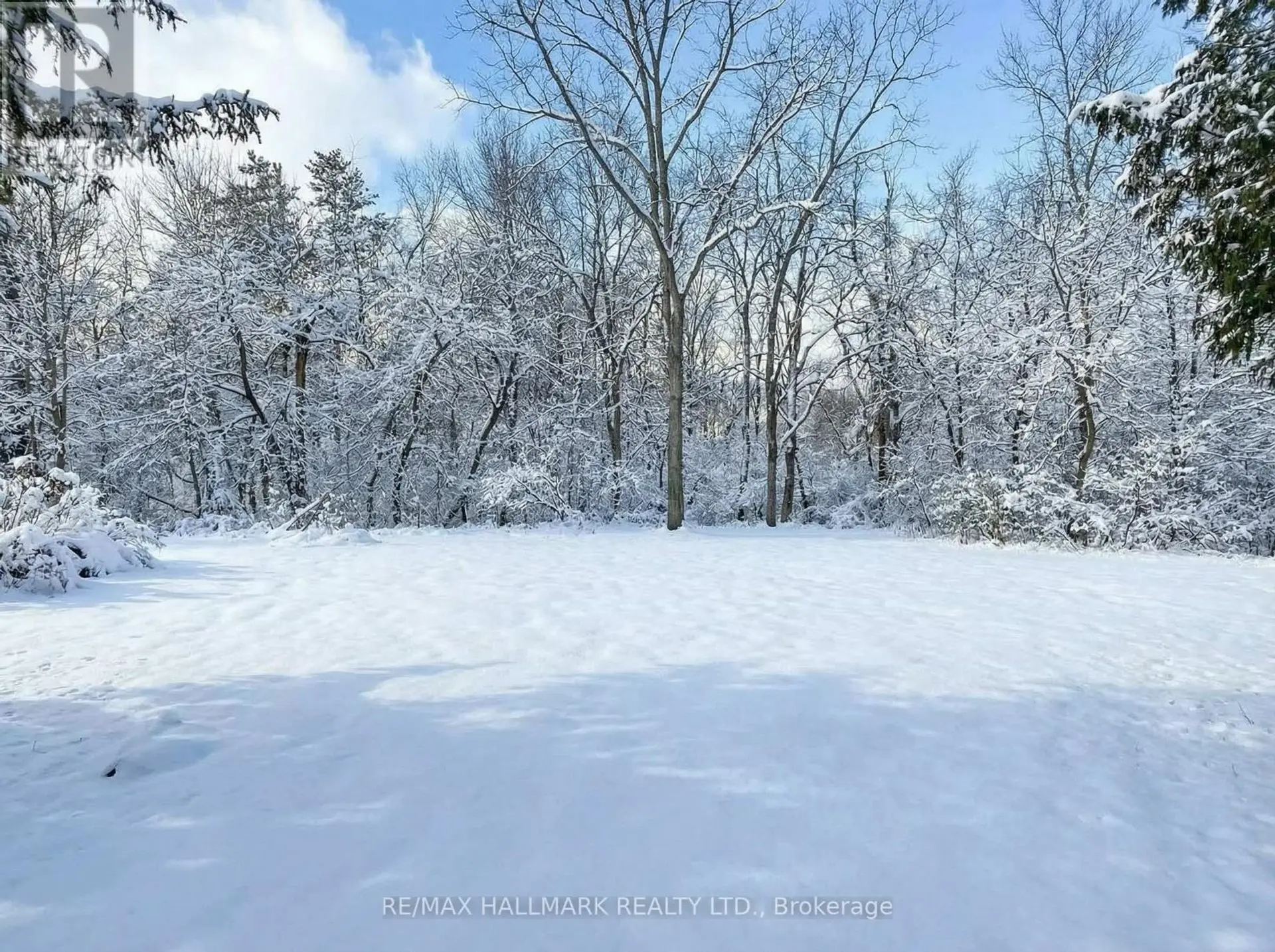 108 YONGEHURST ROAD - Image 4