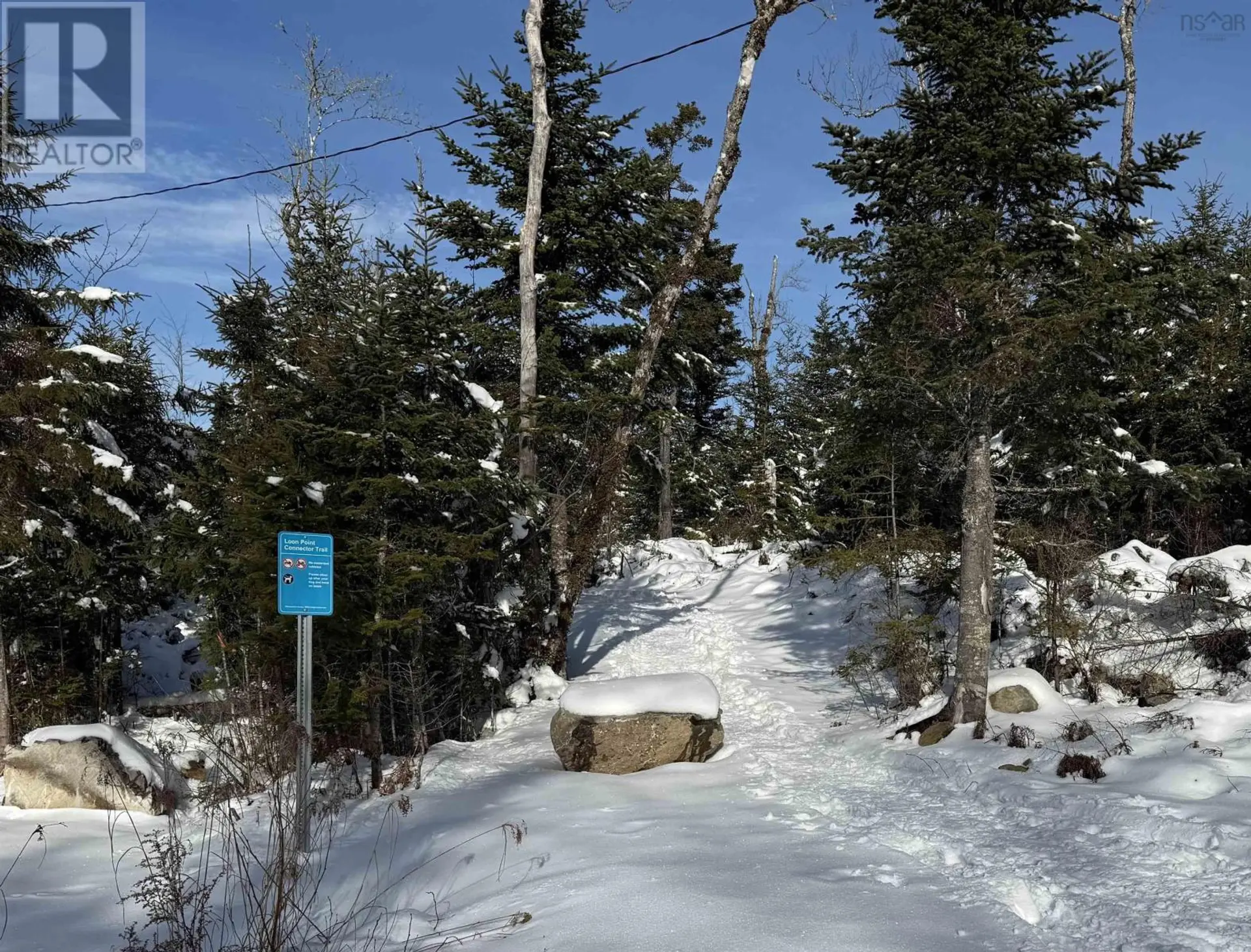 #176 LOON POINT TRAIL - Image 11