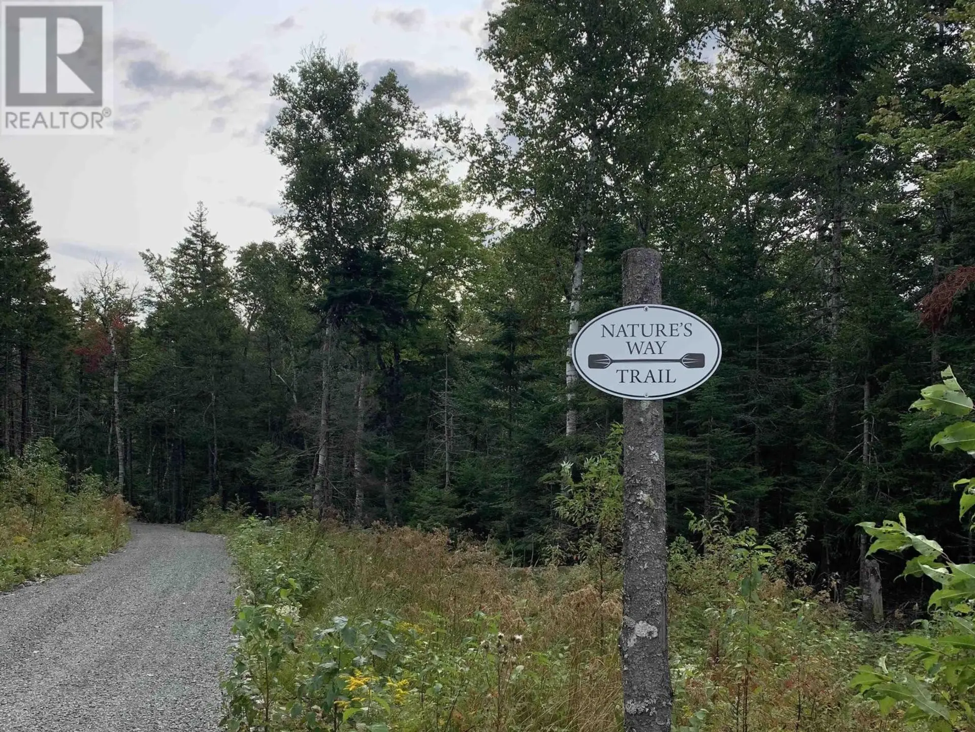 #176 LOON POINT TRAIL - Image 7