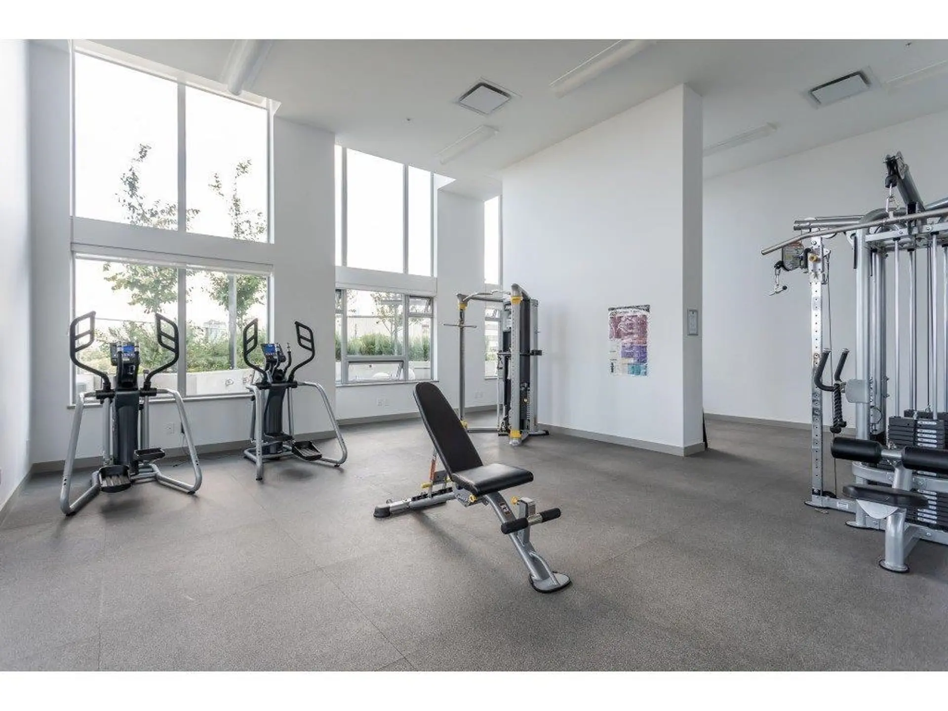 #1907 5470 Ormidale Street - Image 18