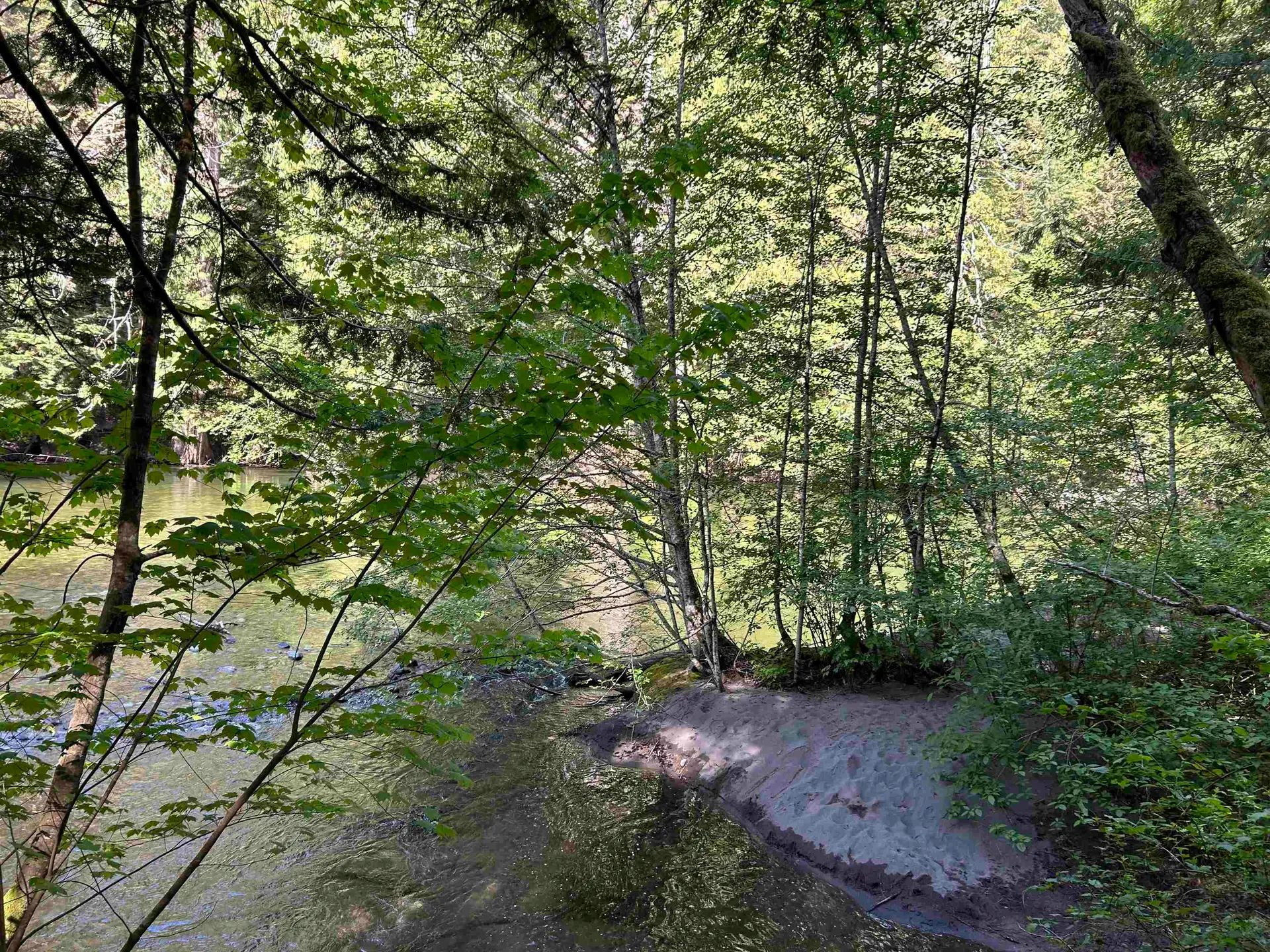 9063 Paradise Valley Road - Image 12