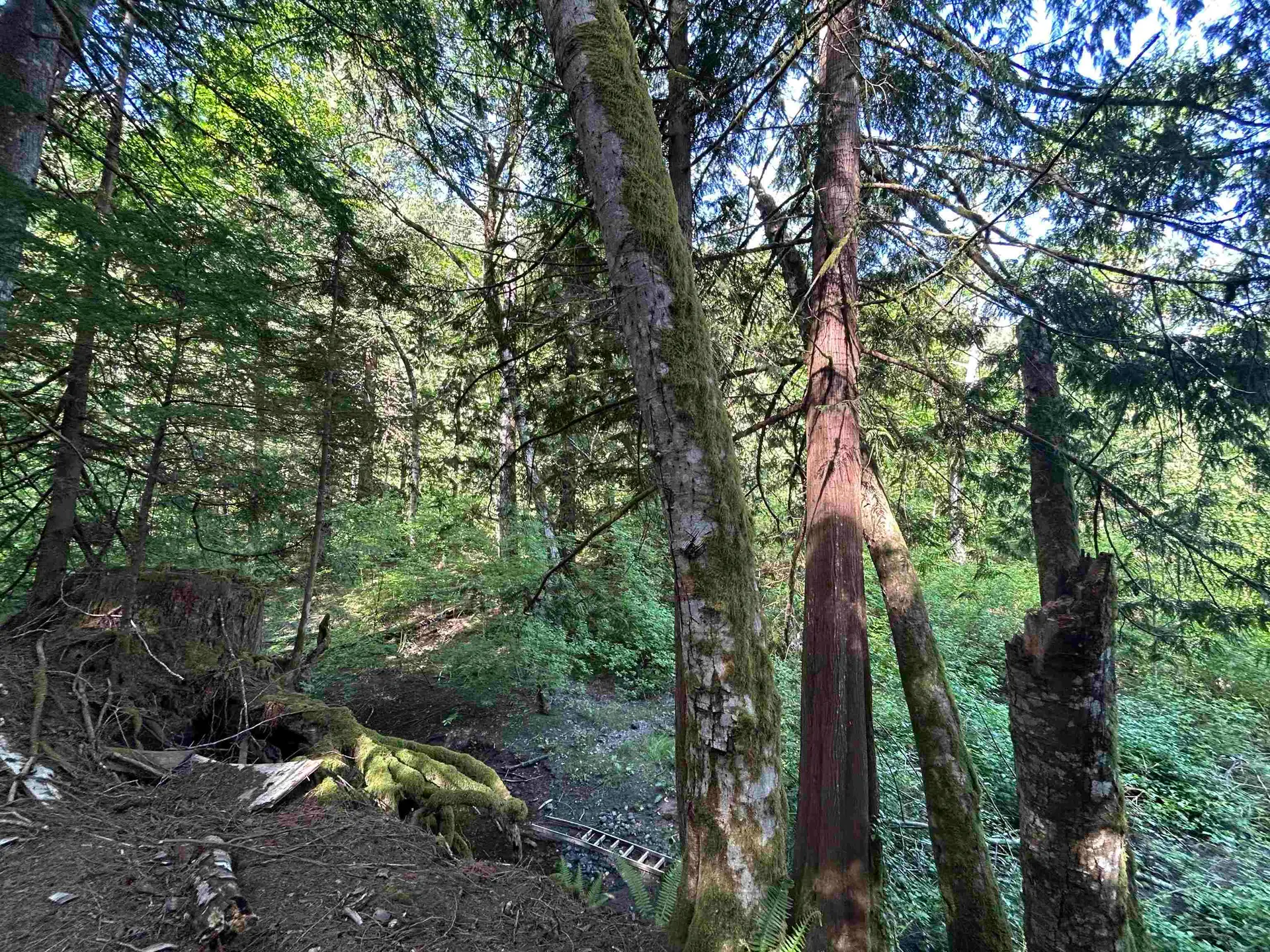 9063 Paradise Valley Road - Image 7