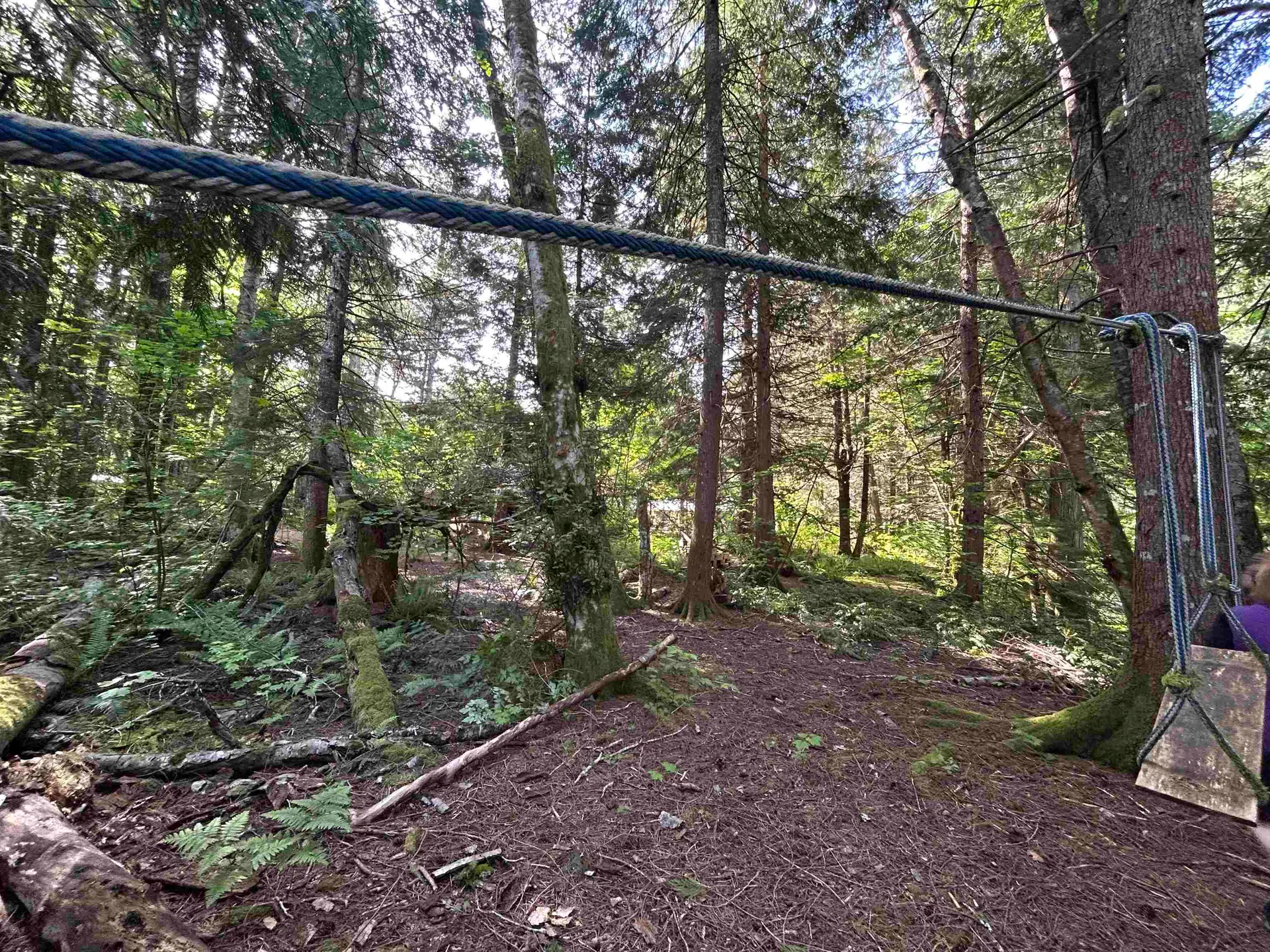 9063 Paradise Valley Road - Image 8