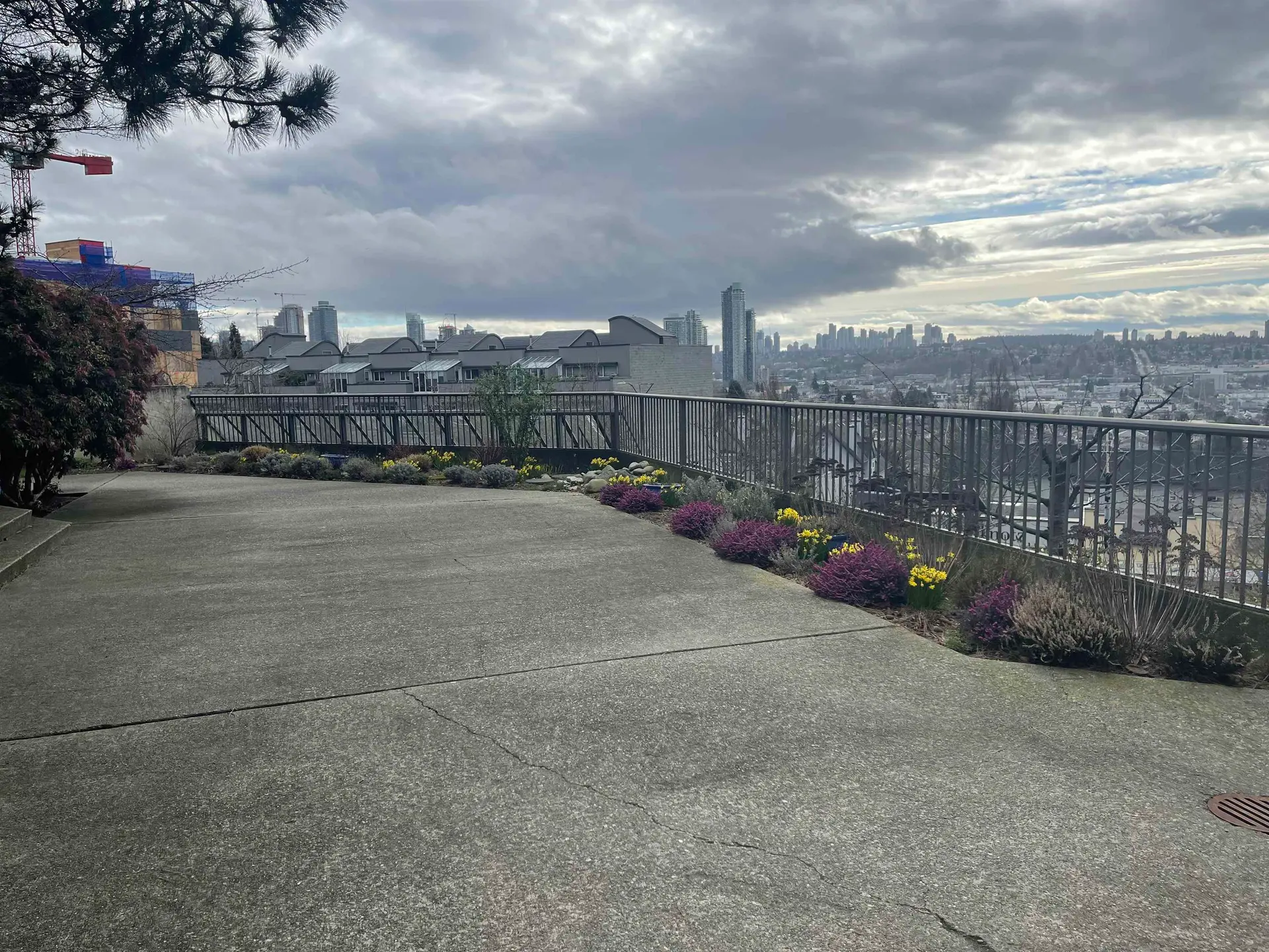 #206 3760 Albert Street - Image 4