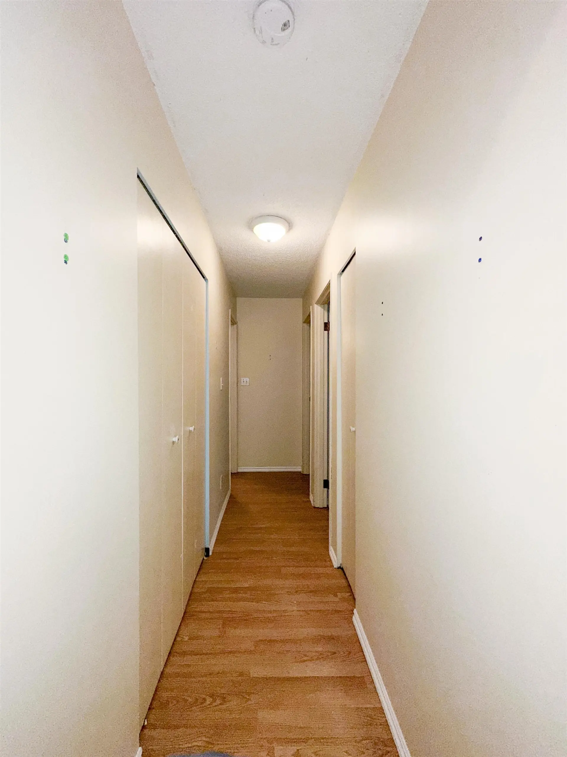 #306 1526 George Street - Image 6