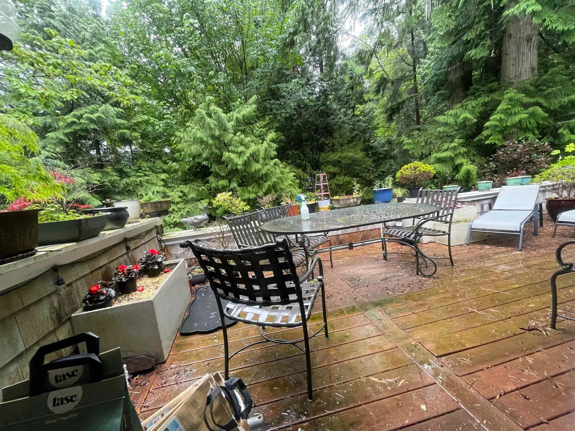 3937 Westridge Avenue - Image 4