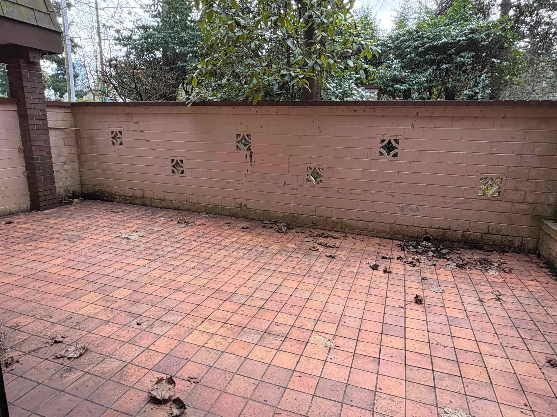 #109 3925 Kingsway - Image 10
