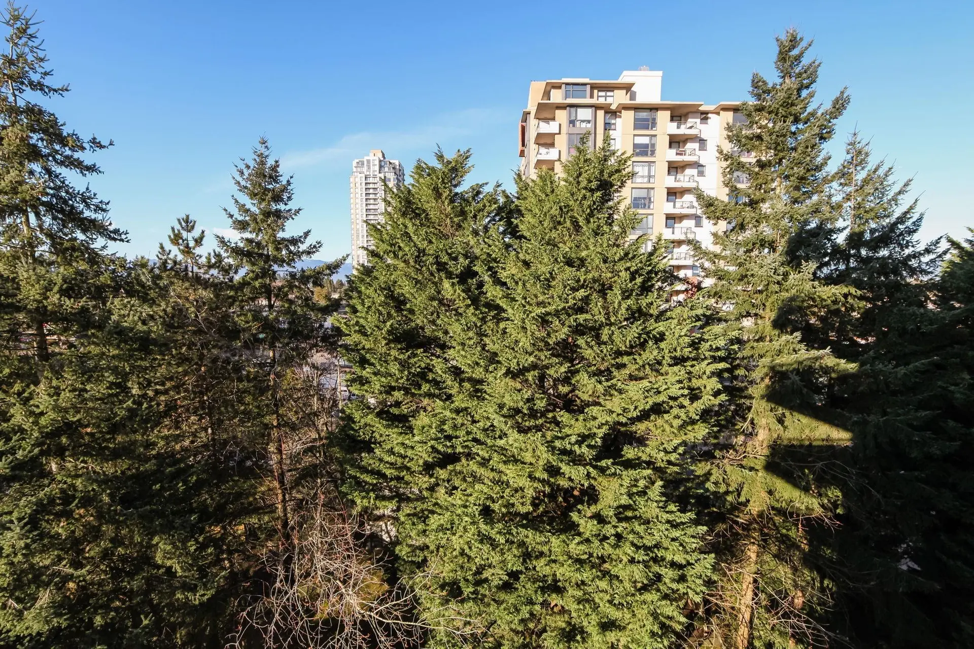#905 7171 Beresford Street - Image 13