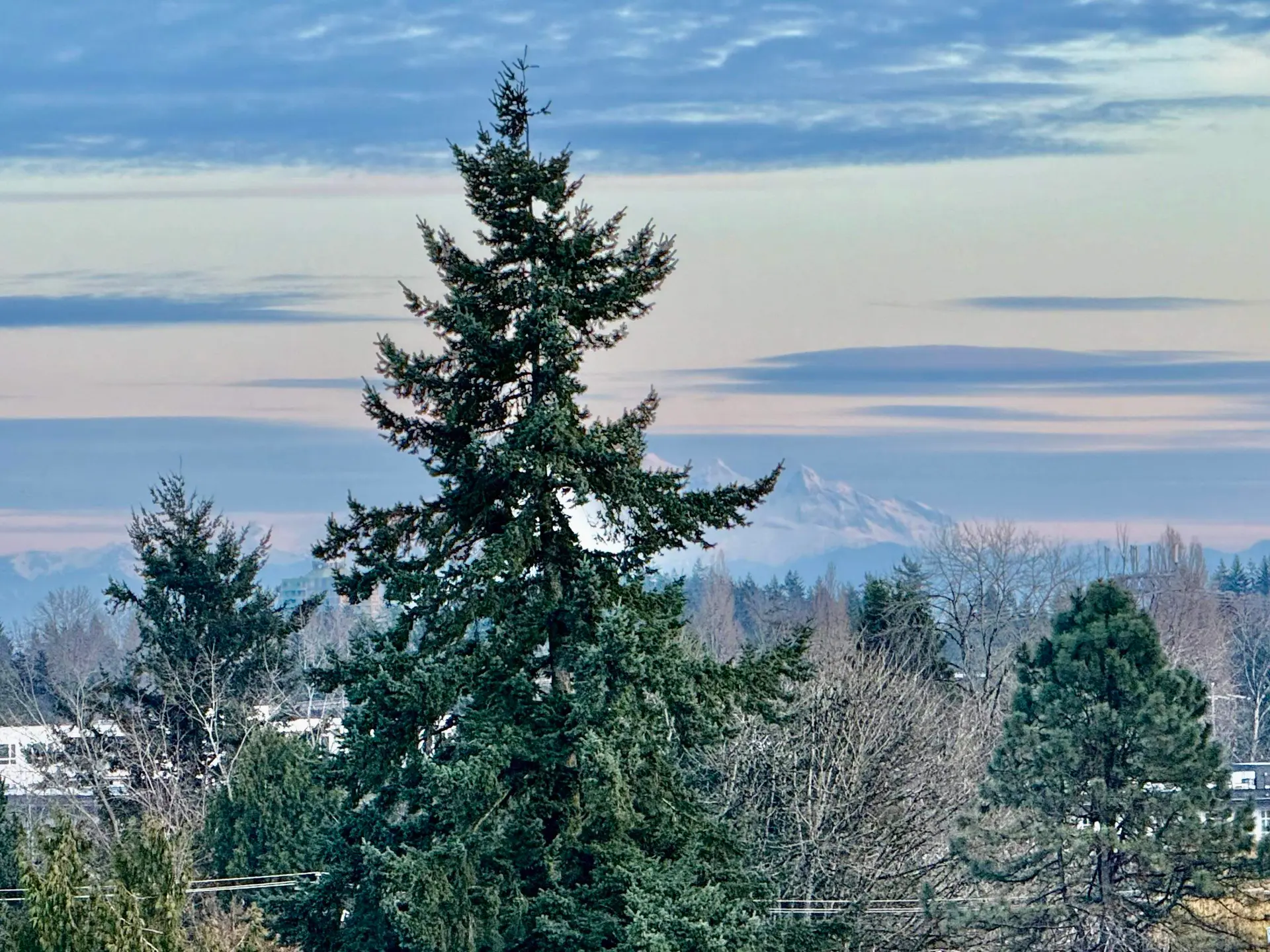 #1103 13675 107a Avenue - Image 16