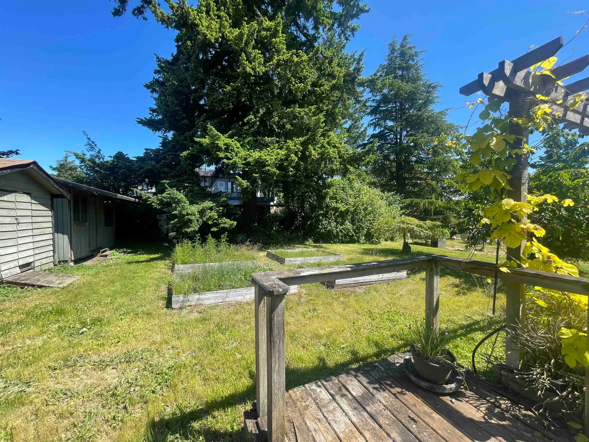 15463 16a Avenue - Image 5
