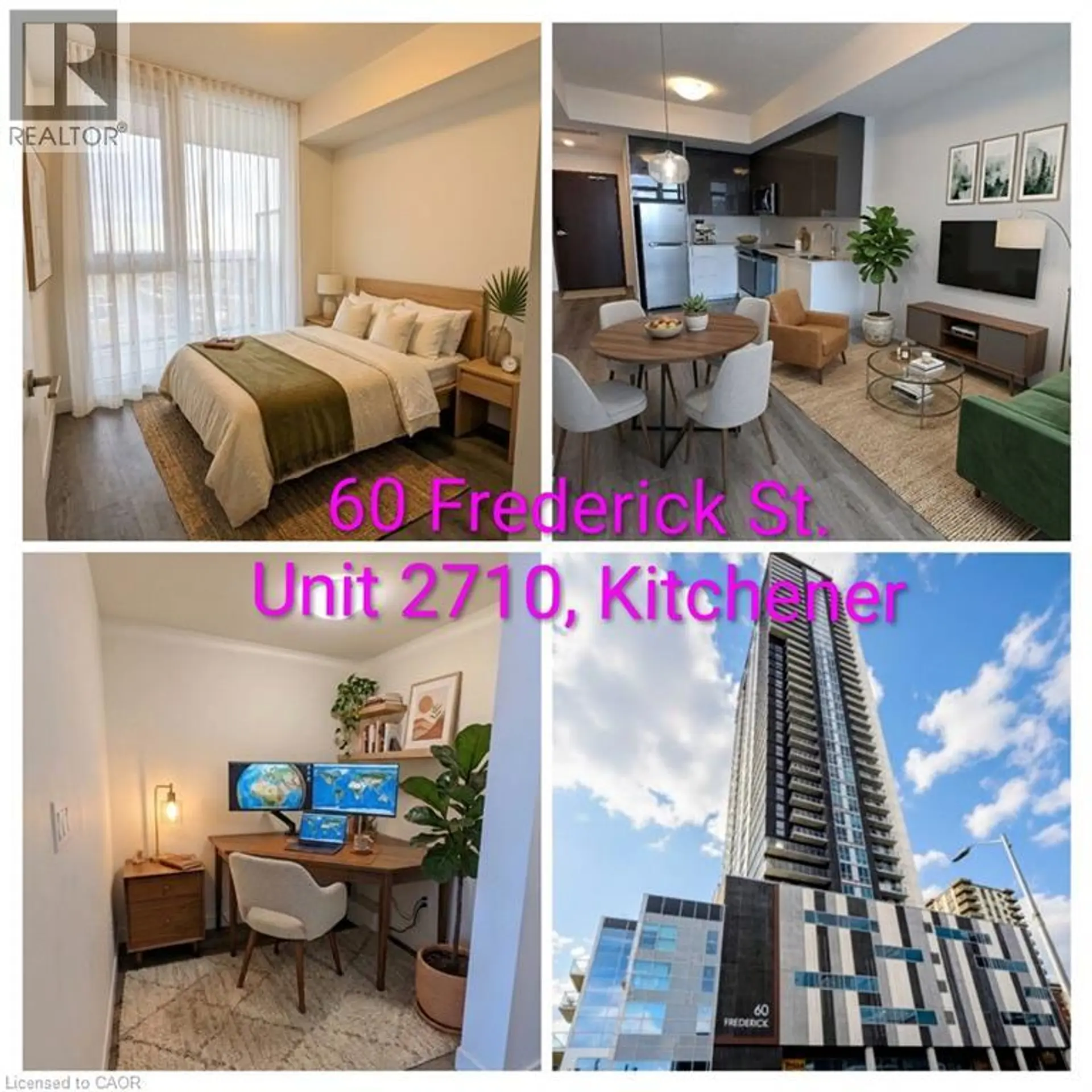 #2710 60 FREDERICK STREET - Image 1