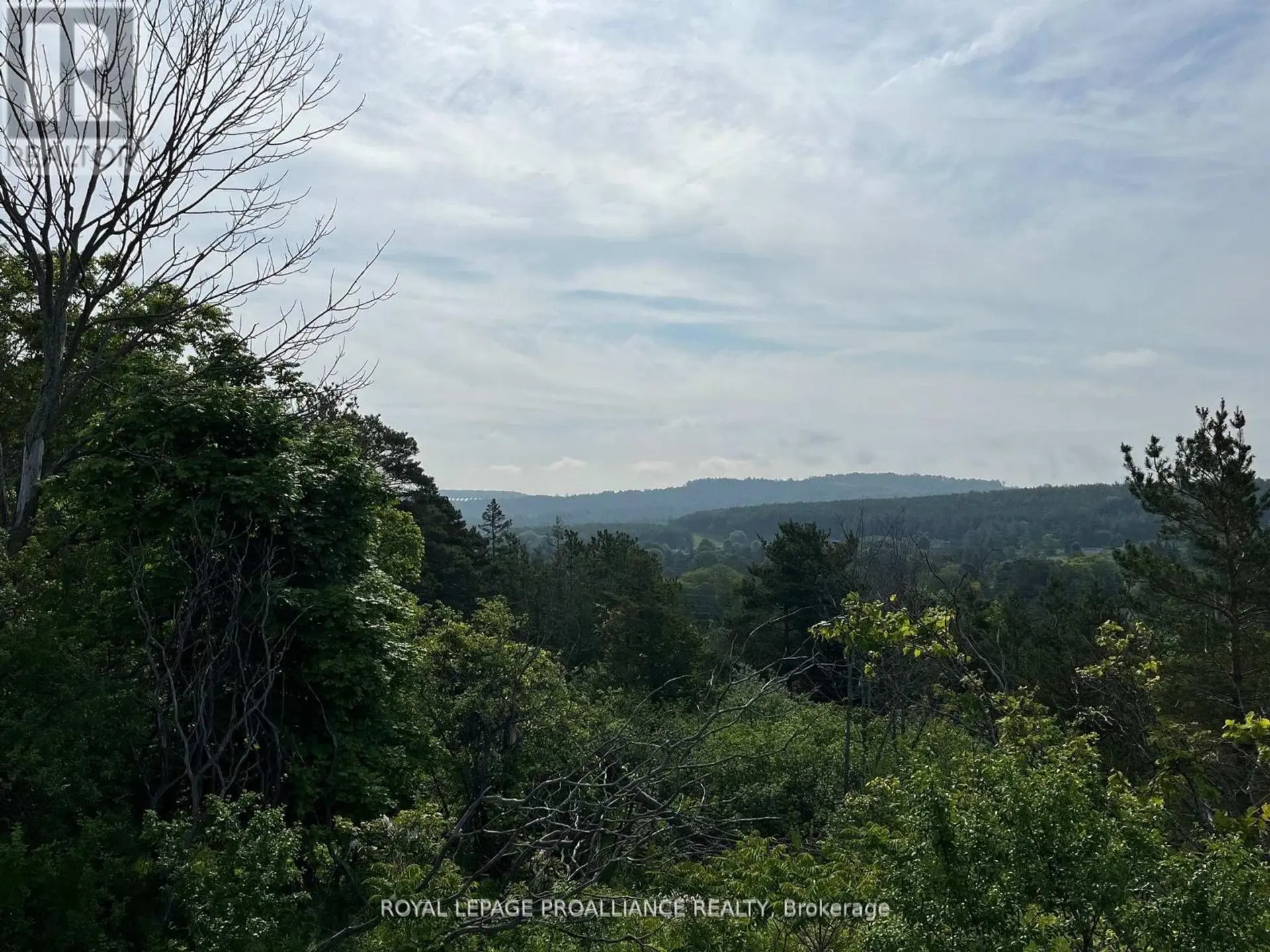 LOT 24 MCCARTY DRIVE - Image 10