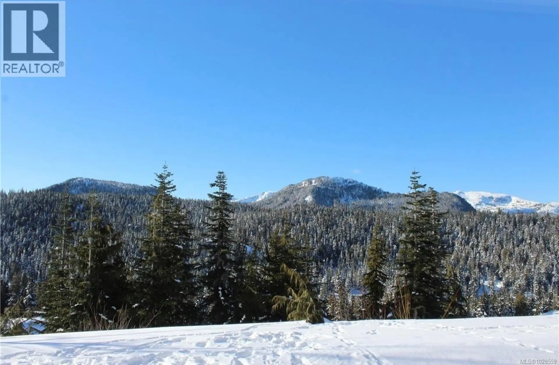 Property at #106 1105 Henry Rd, Courtenay, BC