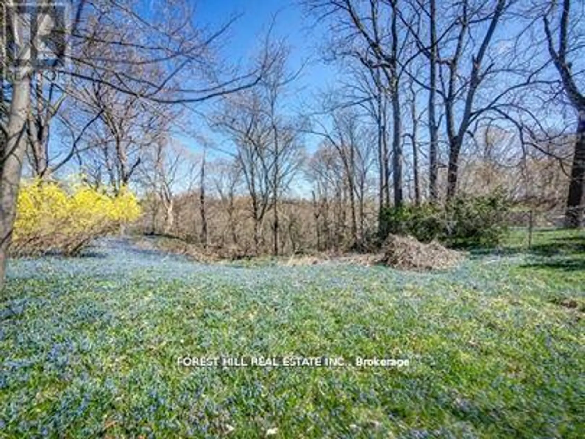 132 BLYTHWOOD ROAD - Image 14