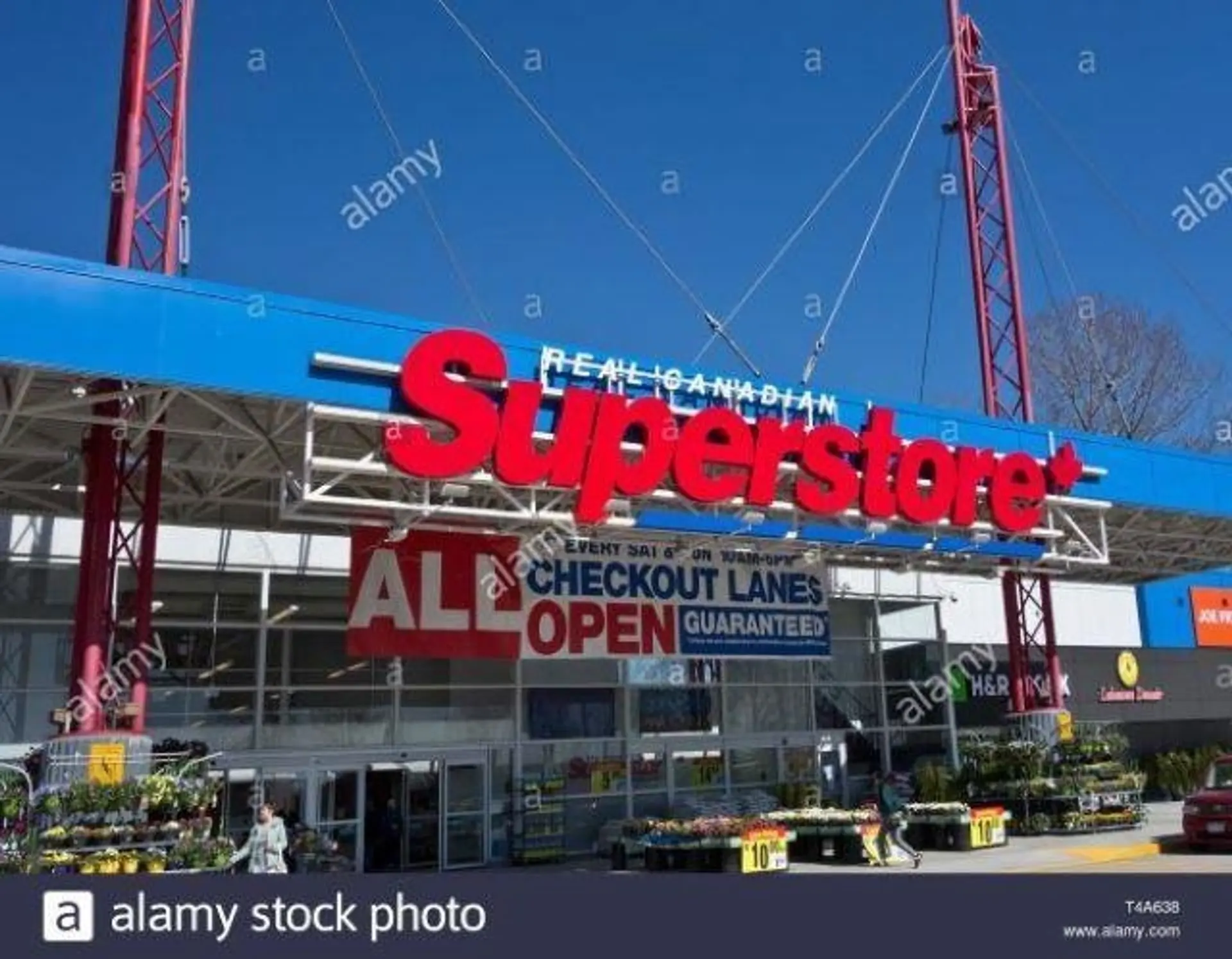 #39 145 King Edward Street - Image 16