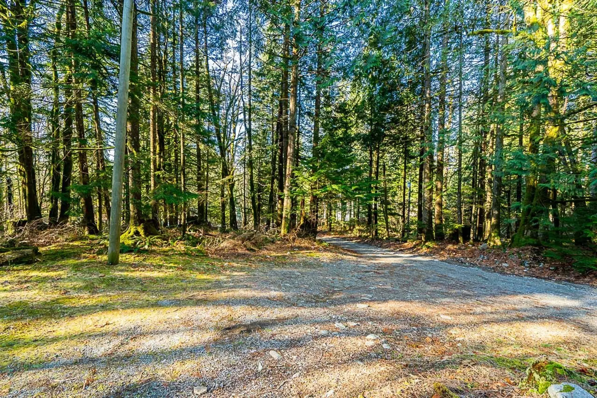36351 Ridgeview Road - Image 2