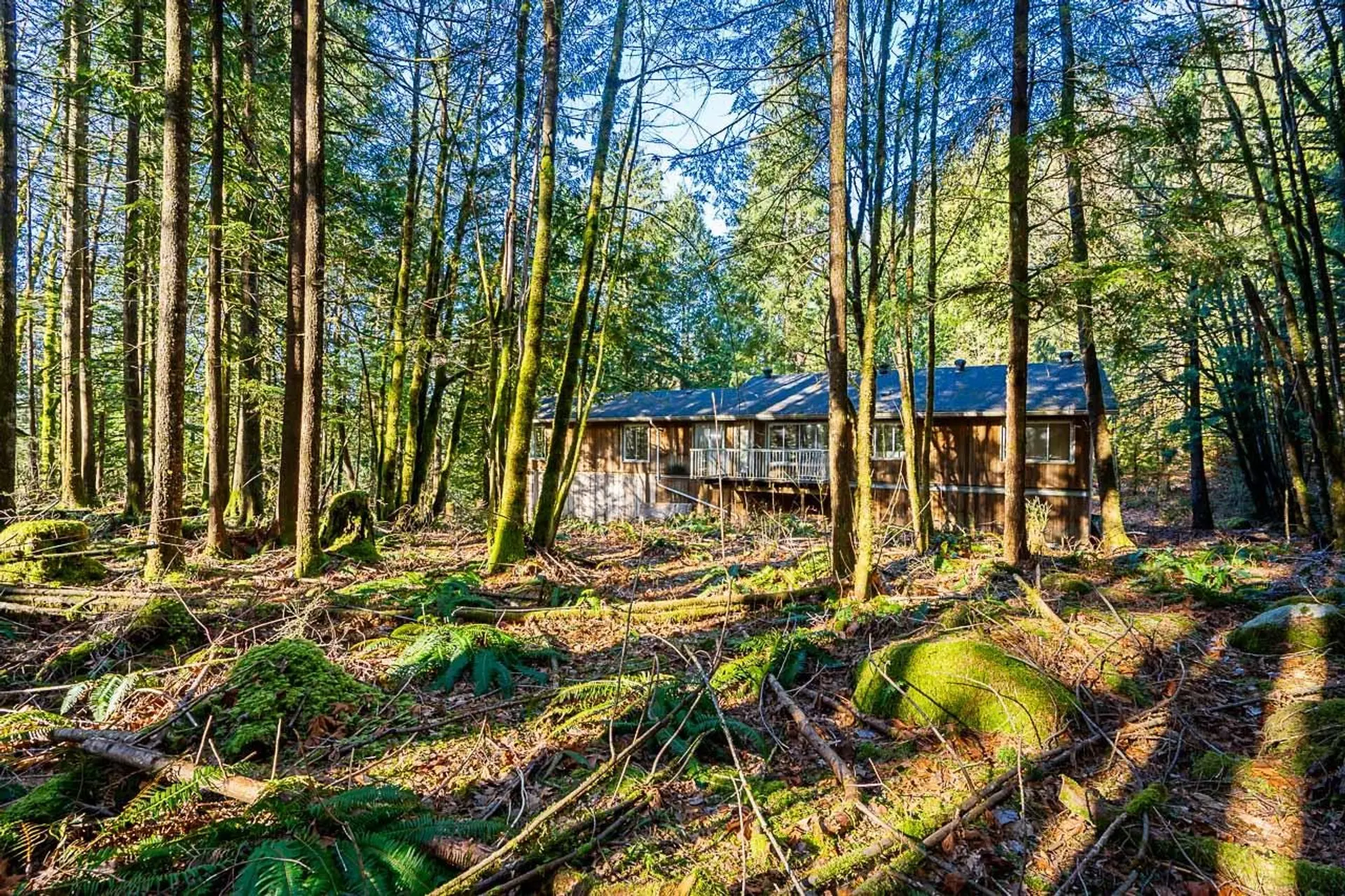 36351 Ridgeview Road - Image 16
