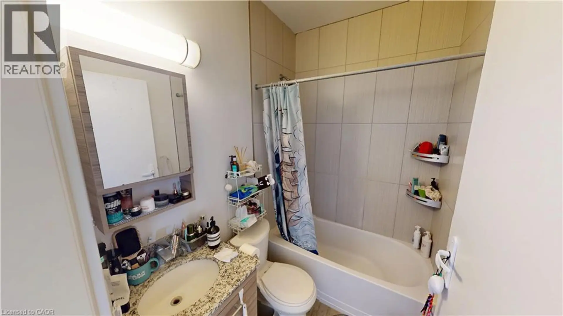 #216 253 ALBERT STREET - Image 12