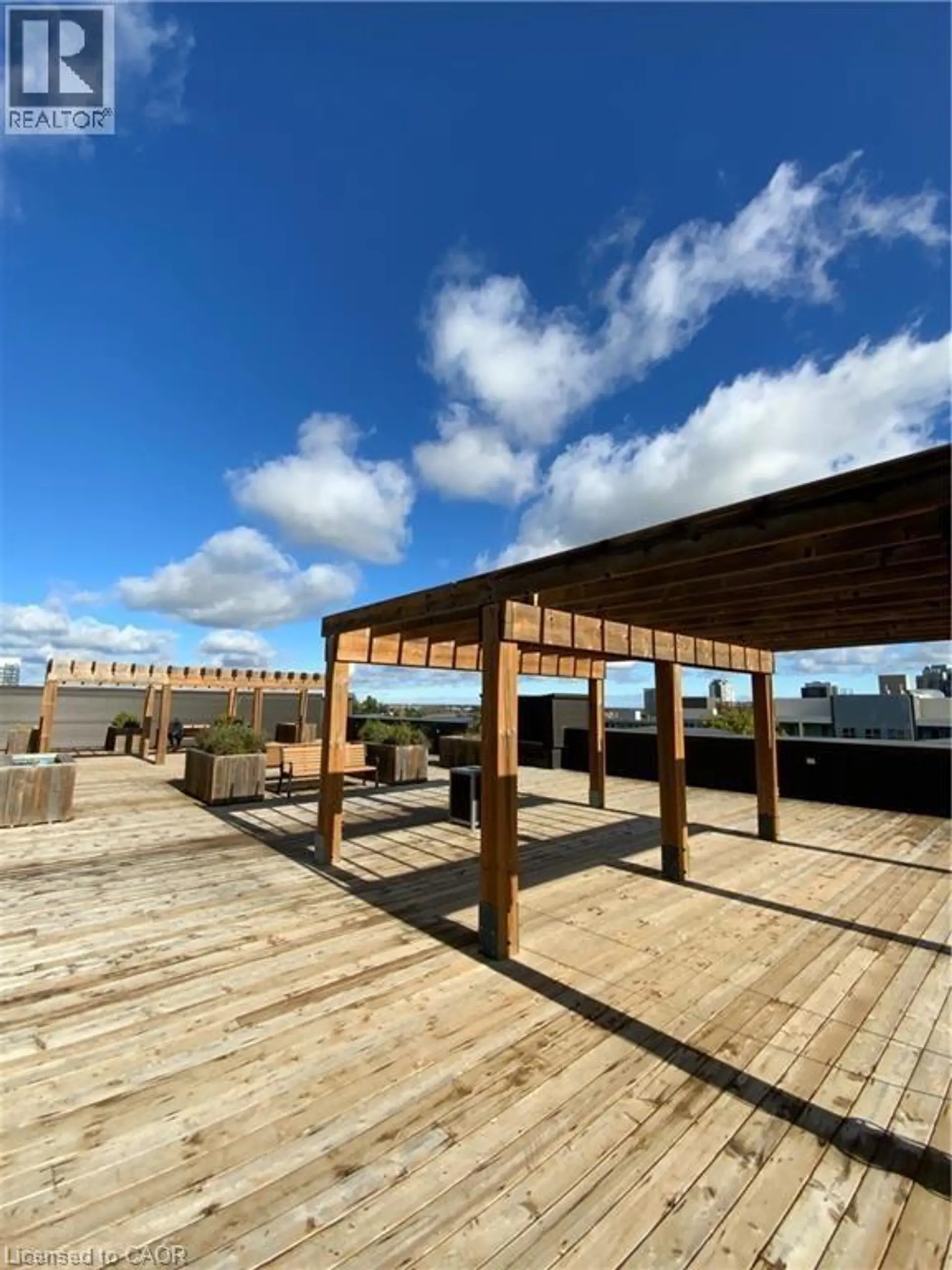 #216 253 ALBERT STREET - Image 17