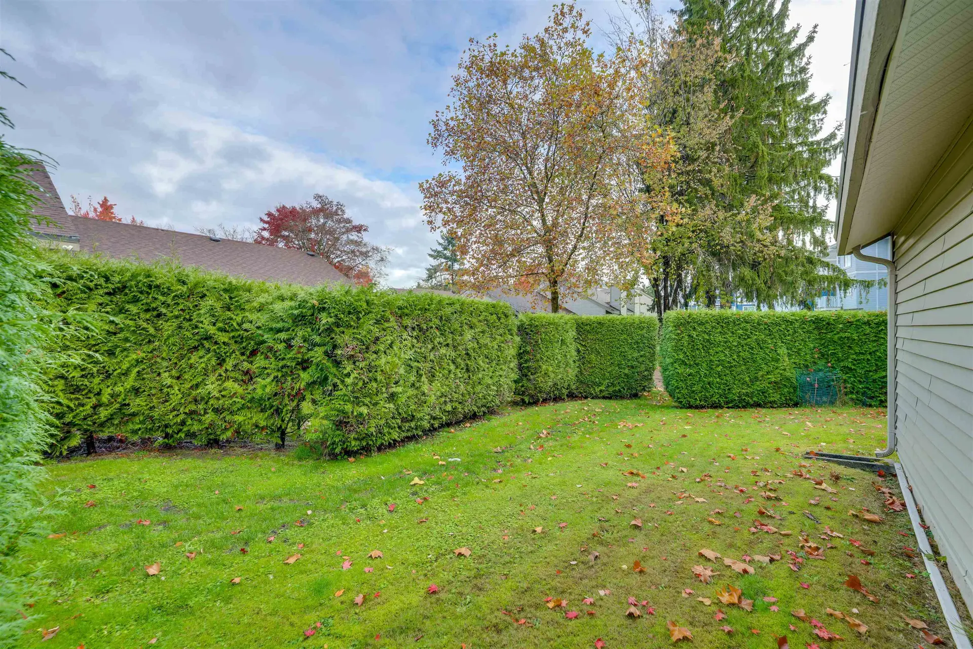 6101 W Greenside Drive - Image 7