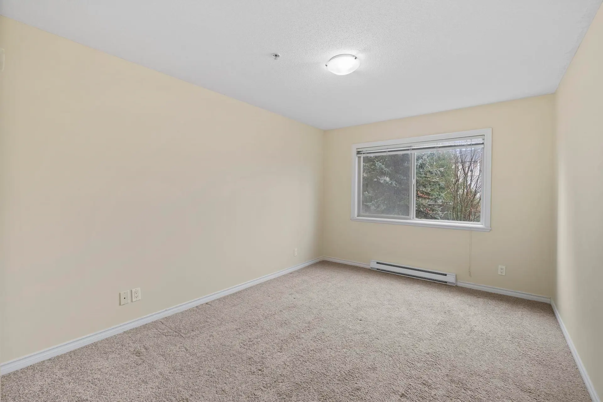 #202 32063 Mt Waddington Avenue - Image 13