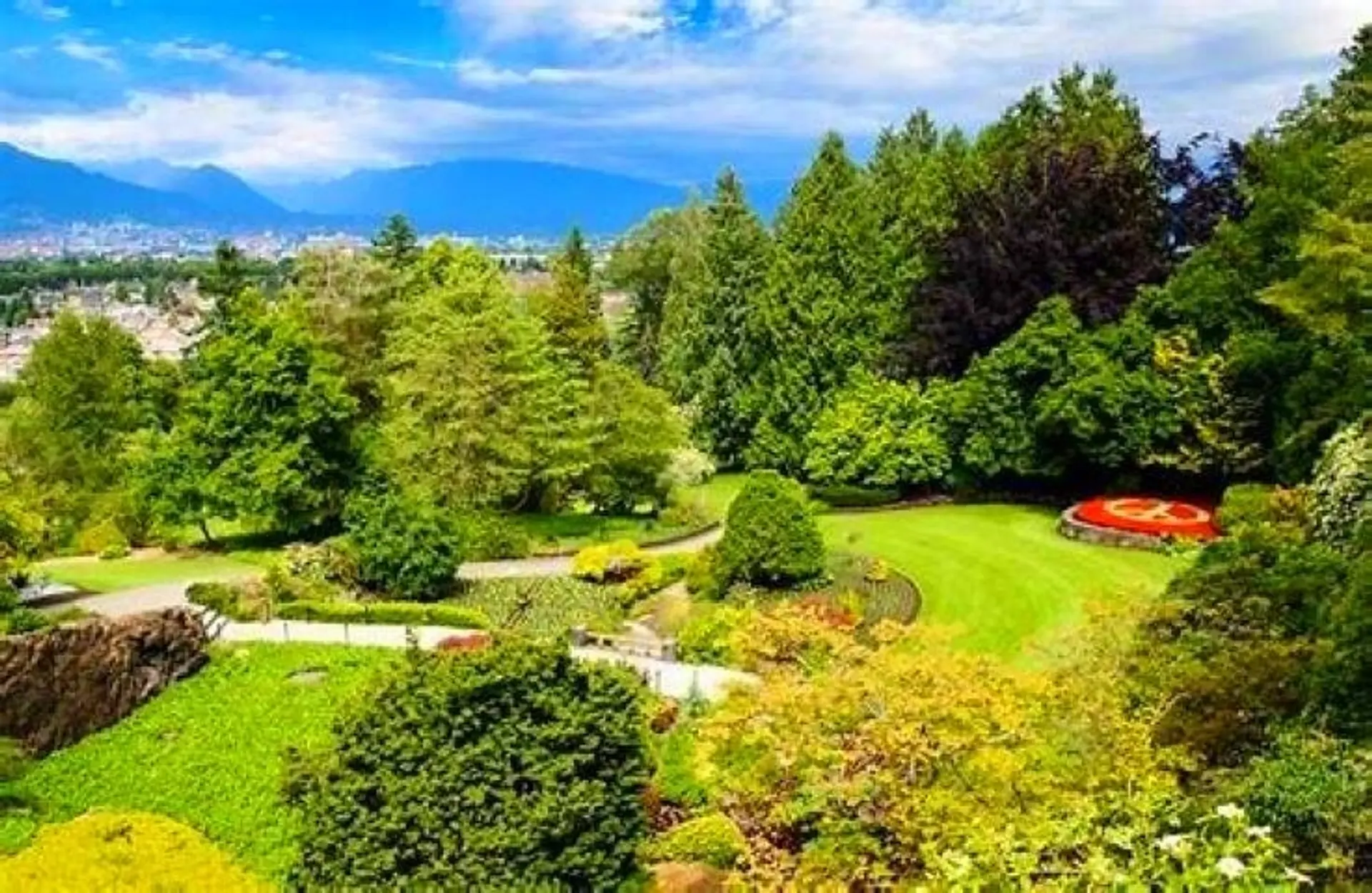 5078 Main Street - Image 4