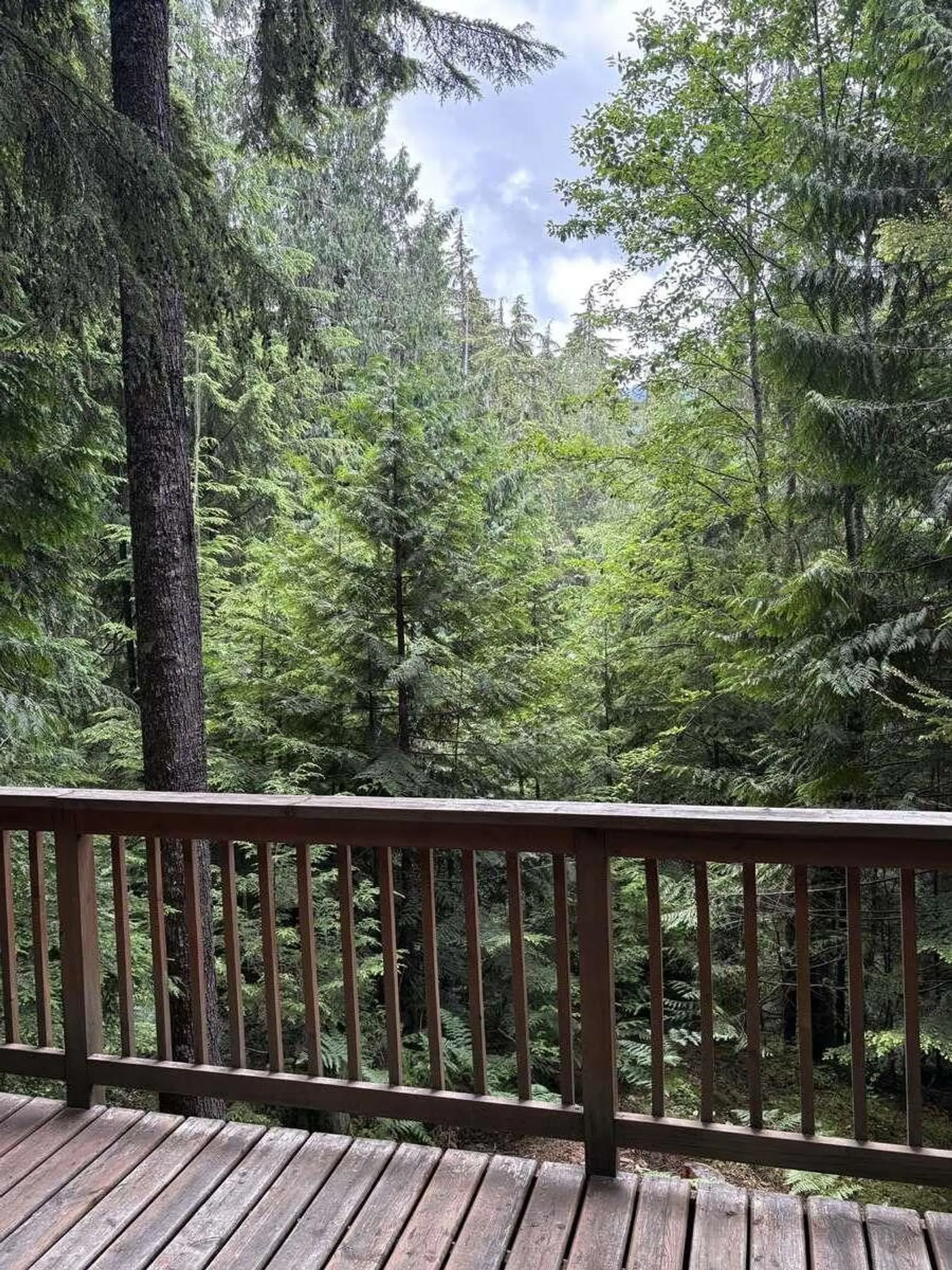 6164 Garibaldi Park Road - Image 12