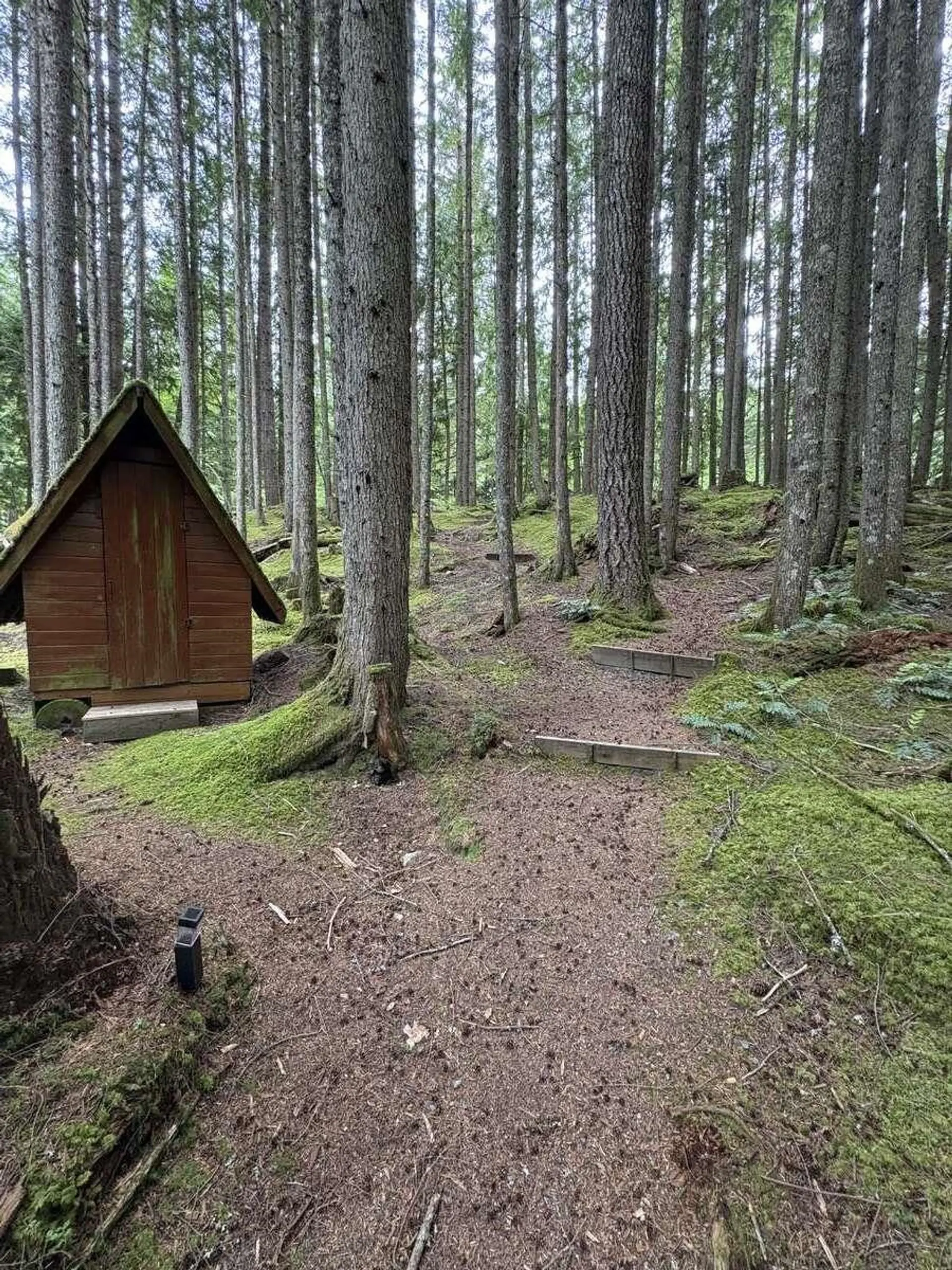 6164 Garibaldi Park Road - Image 3