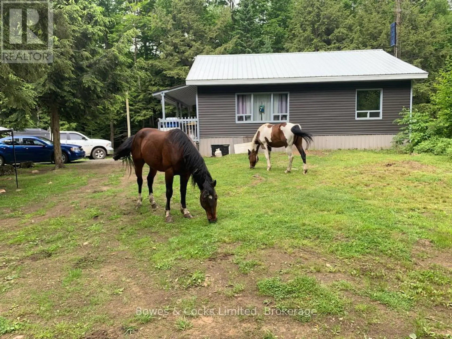 246 HICKEY TRAIL - Image 17