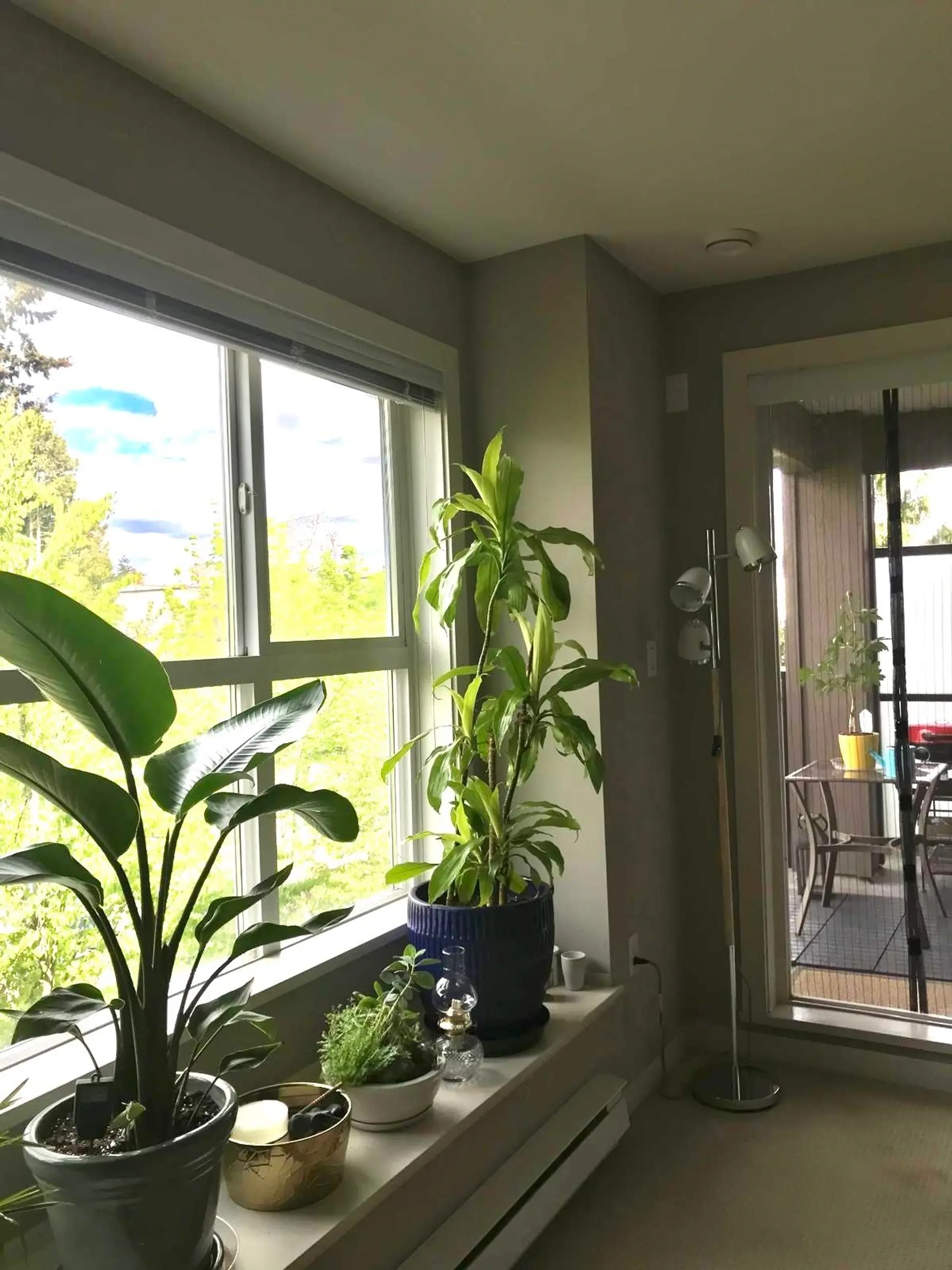 #314 5889 Irmin Street - Image 5