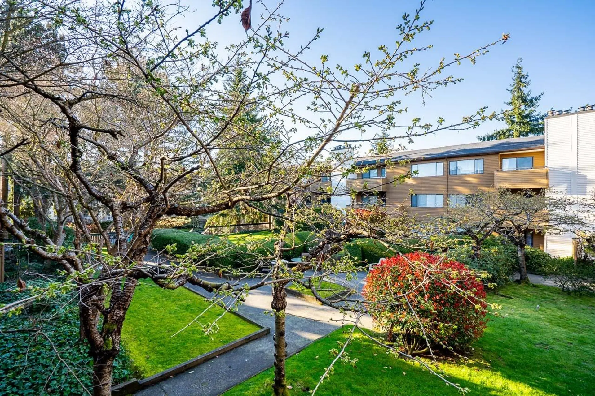 Property at #254 7293 Moffatt Road, Richmond, BC