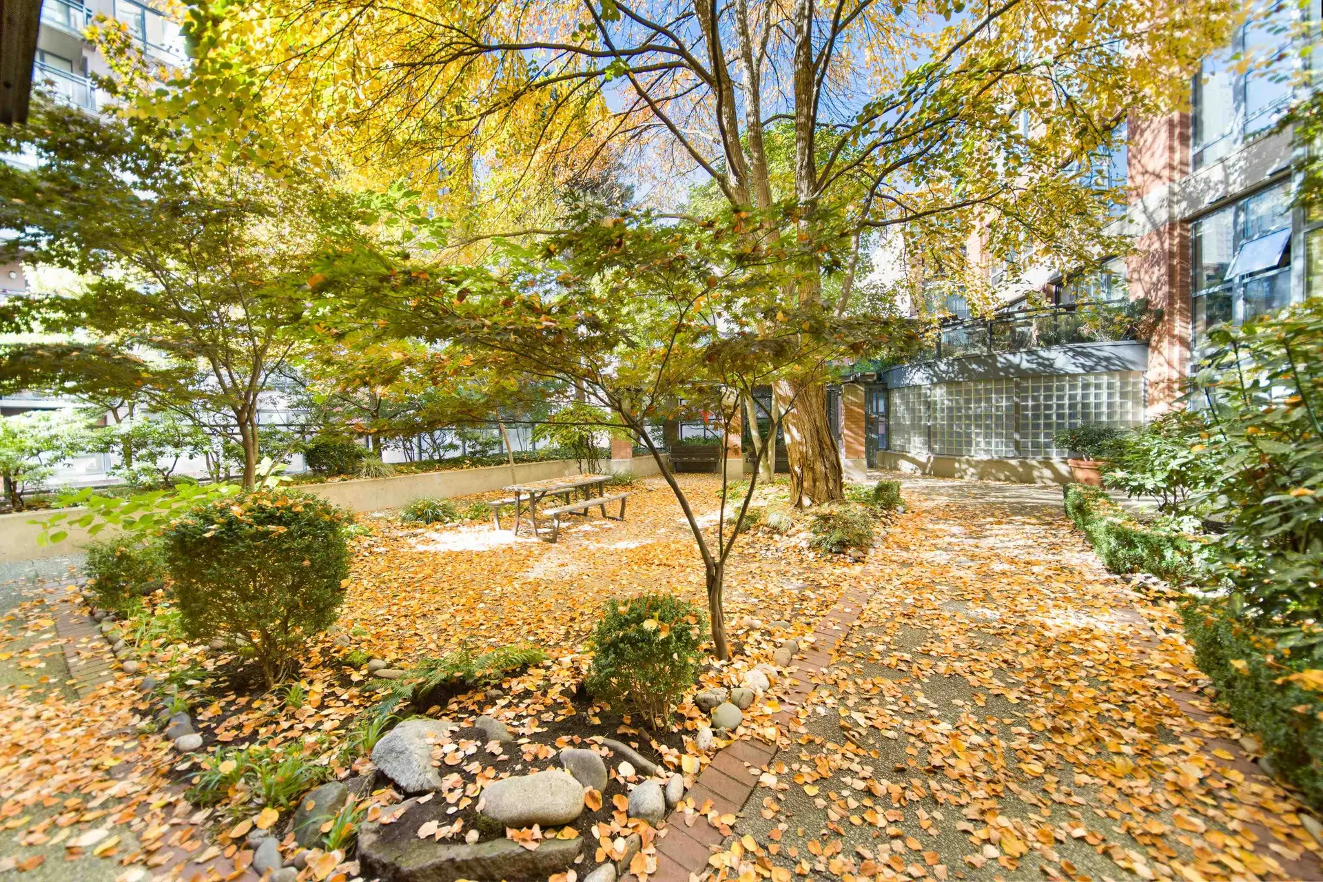 #405 212 Davie Street - Image 12
