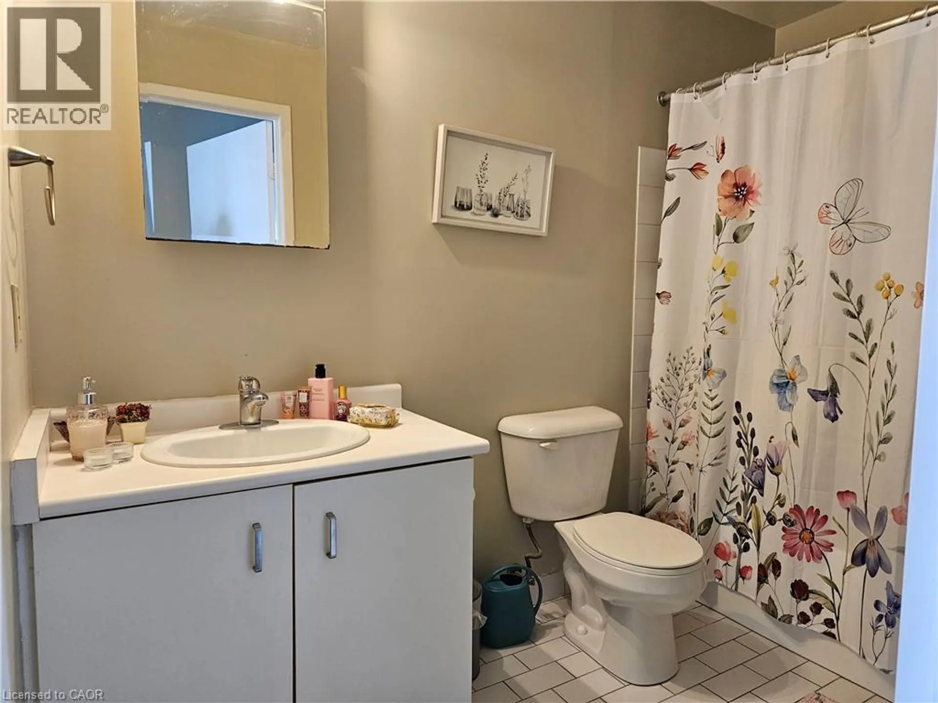 #805 55 BLUE SPRINGS DRIVE - Image 12
