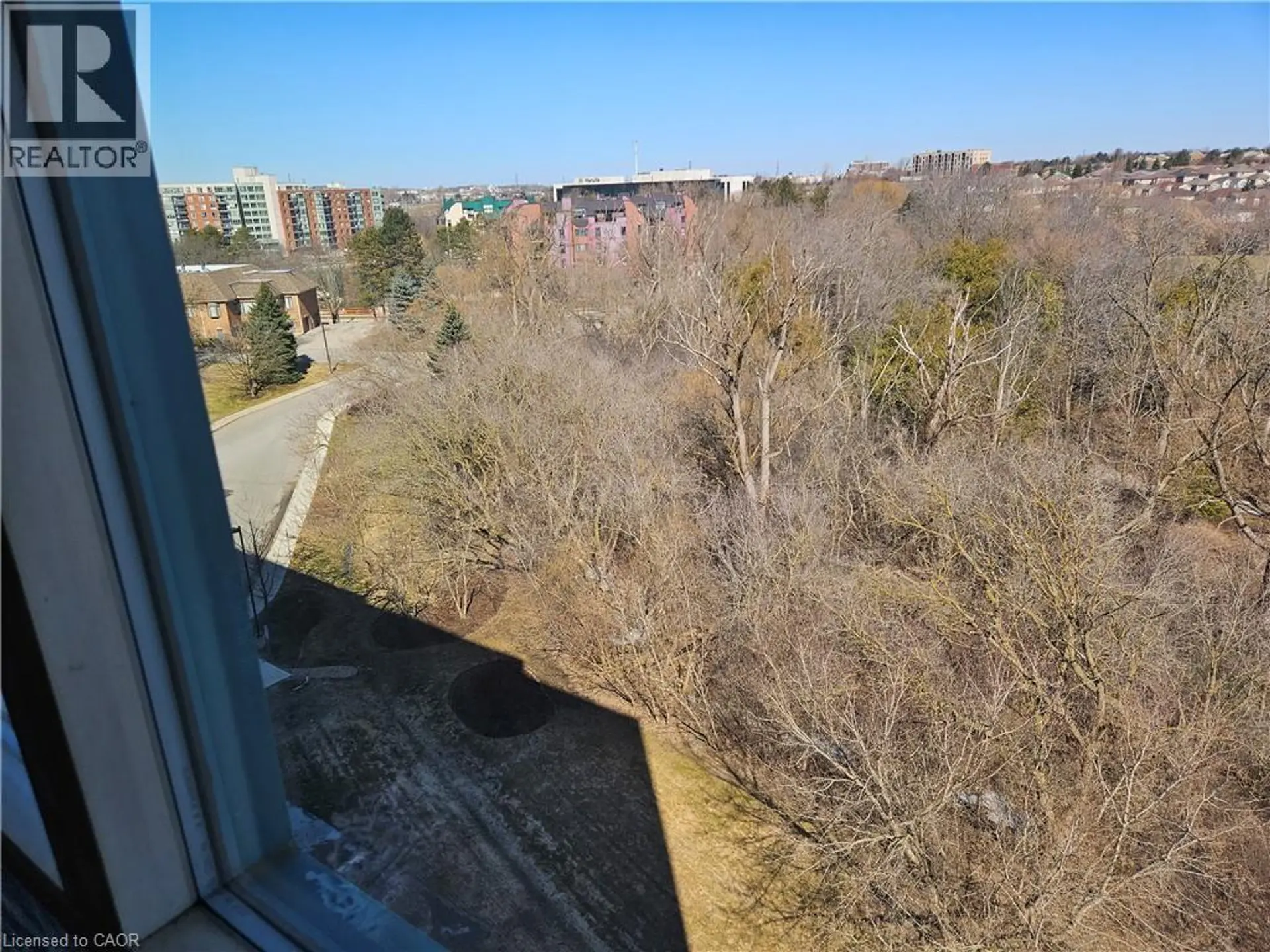 #805 55 BLUE SPRINGS DRIVE - Image 16