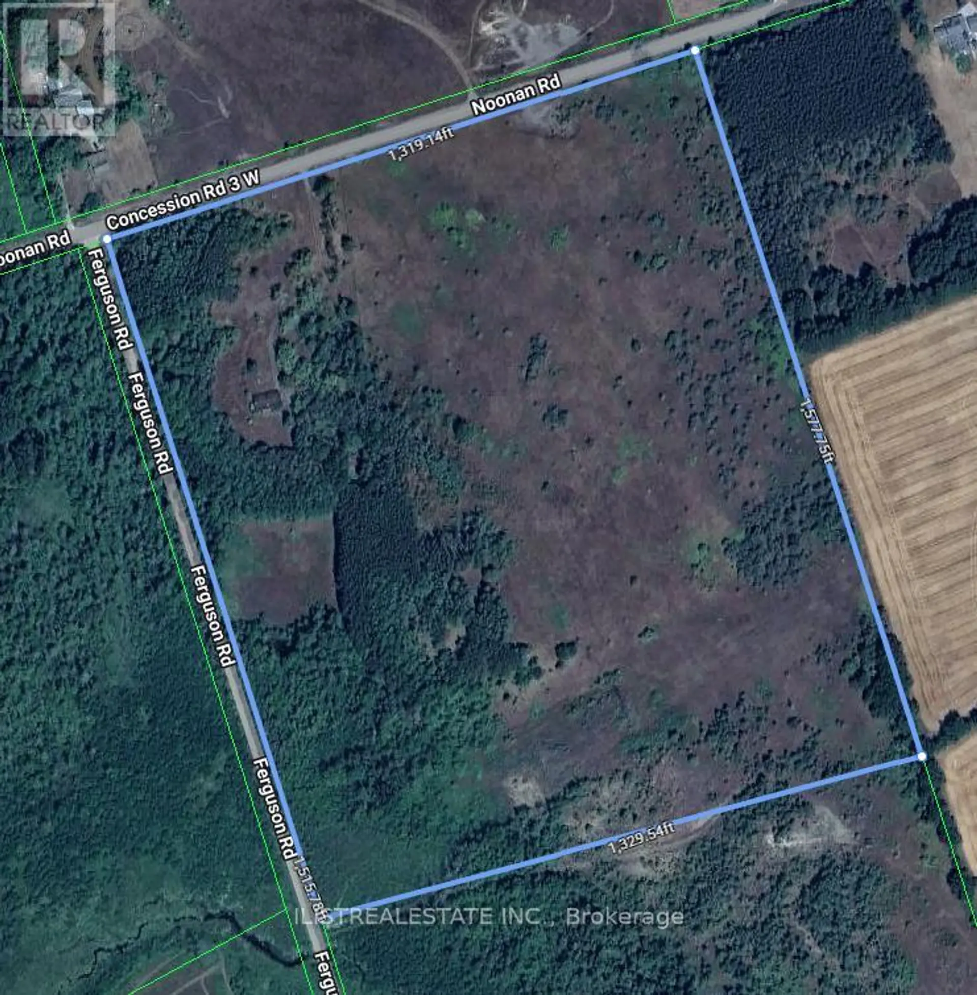 557 NOONAN ROAD - Image 1