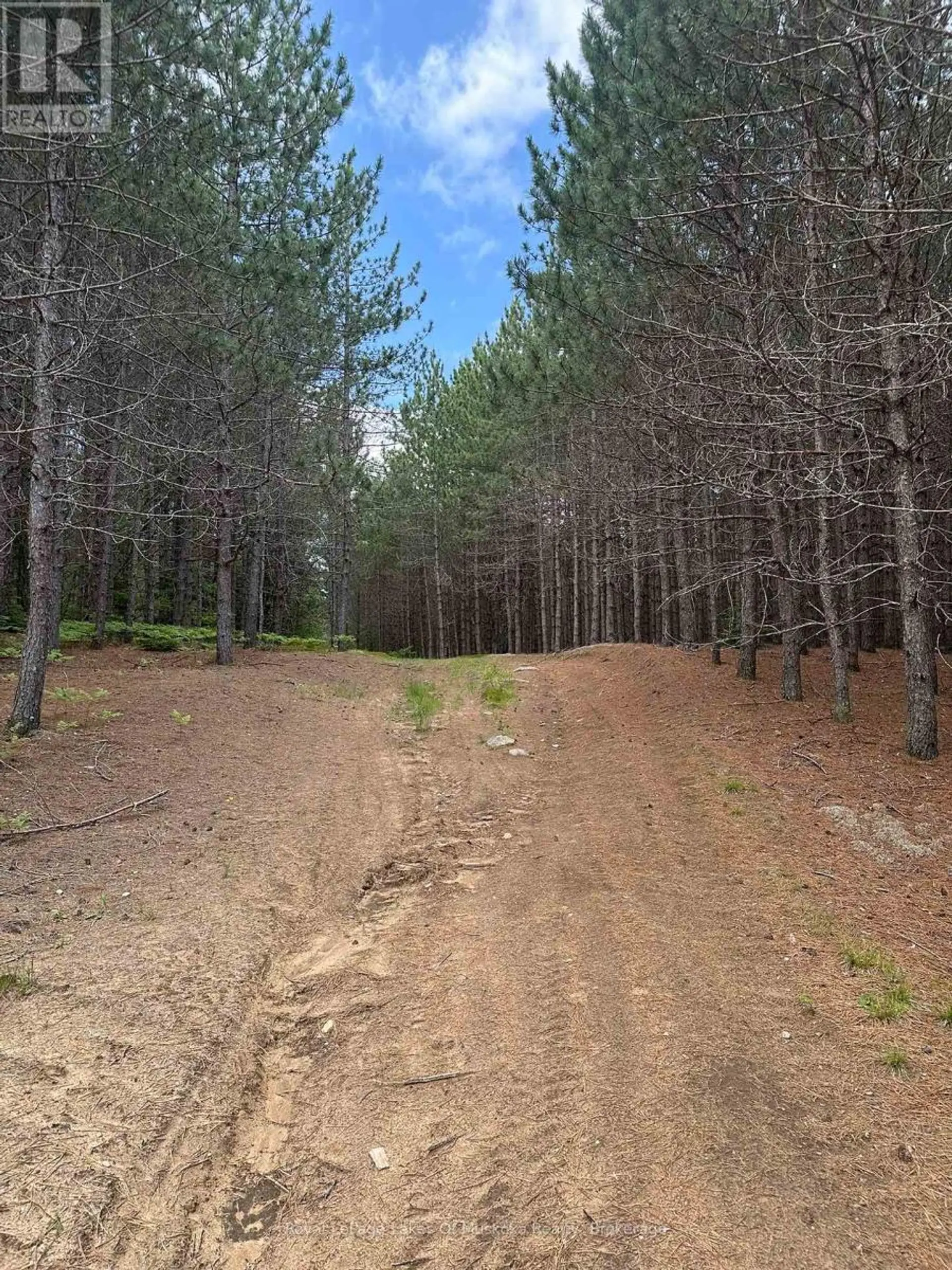 1958 518 HIGHWAY - Image 12