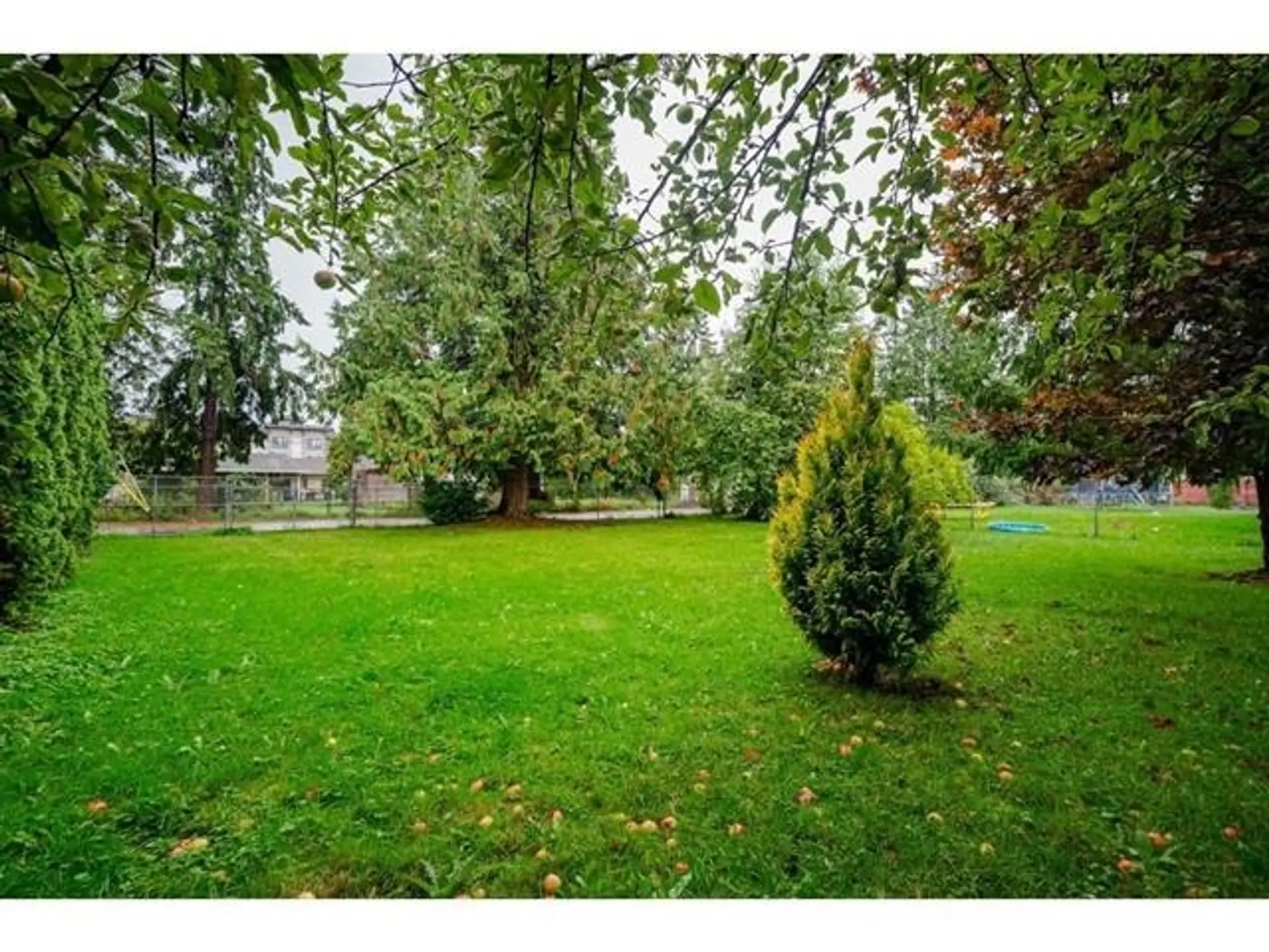 19680 56 Avenue - Image 4