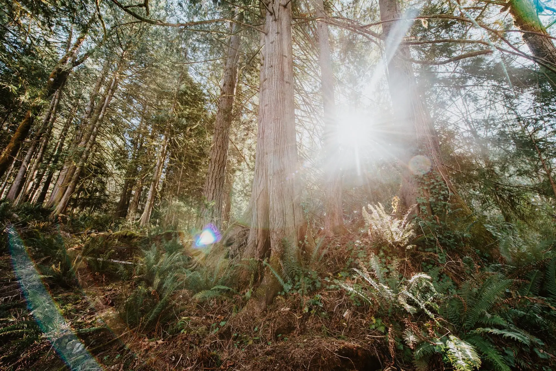 Property at 5735 Naylor Road, Sechelt, BC
