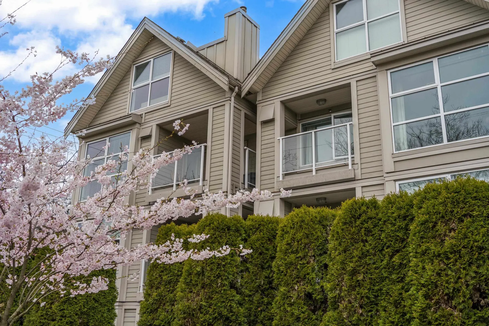 Property at #204 3168 Laurel Street, Vancouver, BC